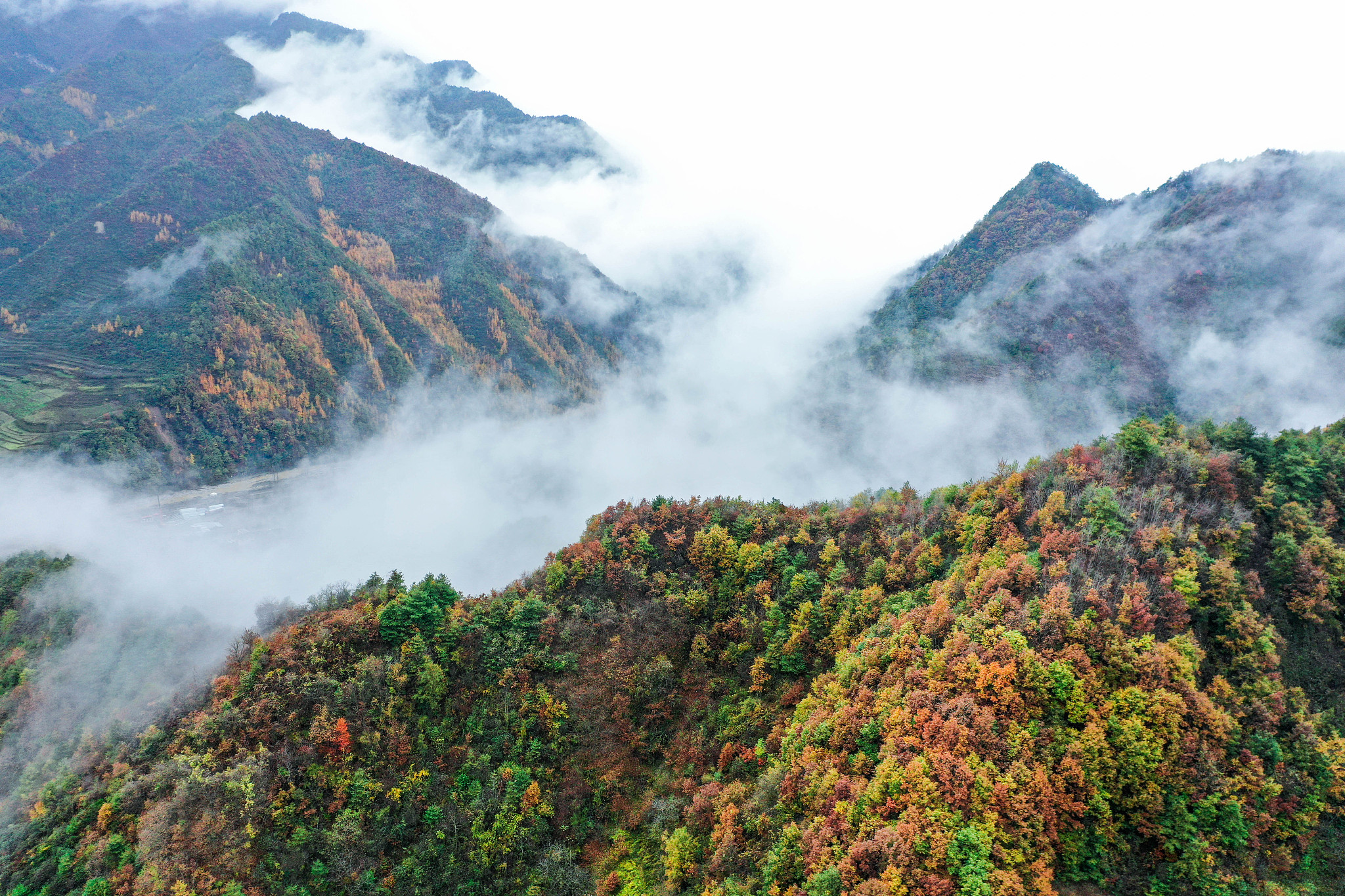 陇南地区概况：地理位置、人口、经济发展及旅游资源