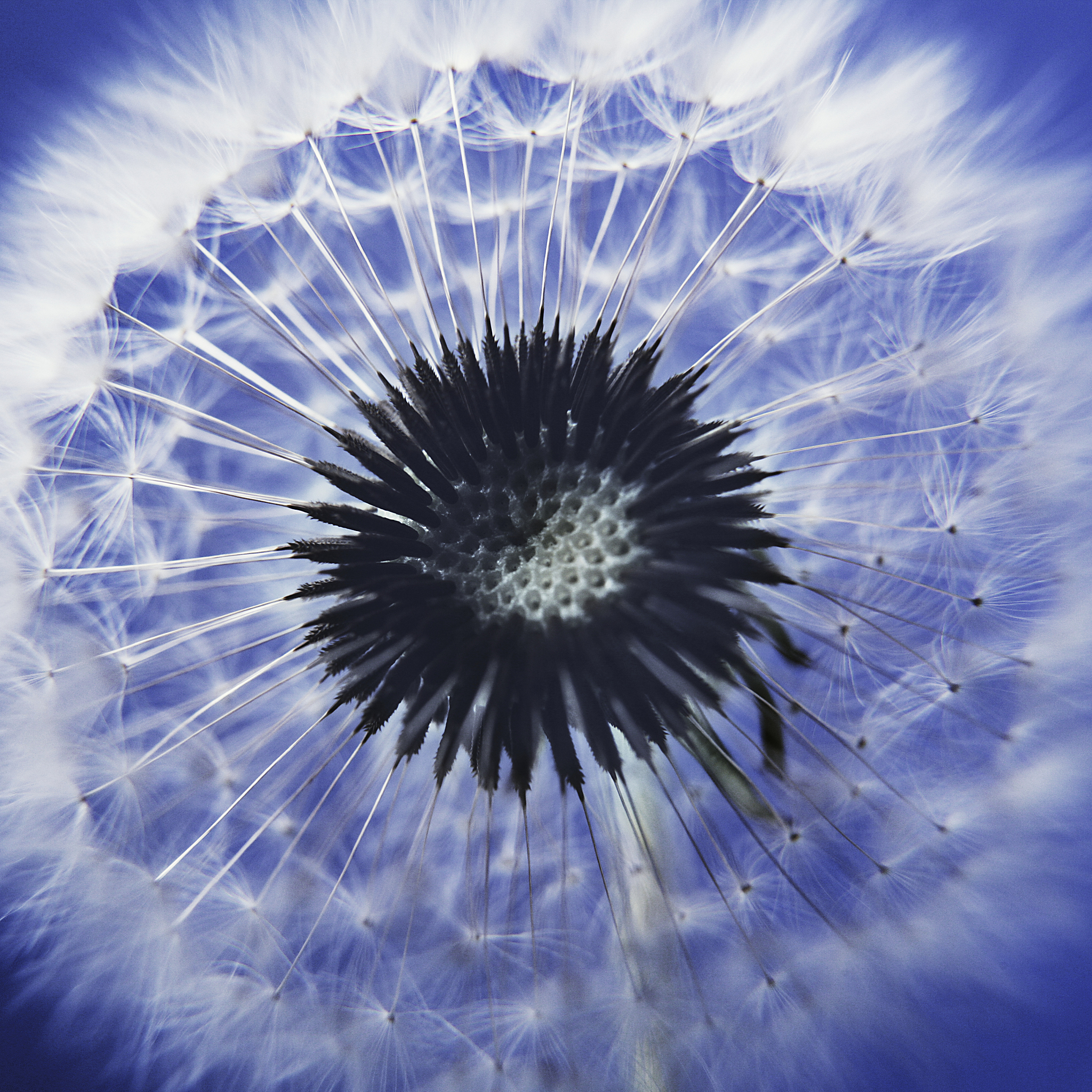 辽东学院种子科学与工程专业课程