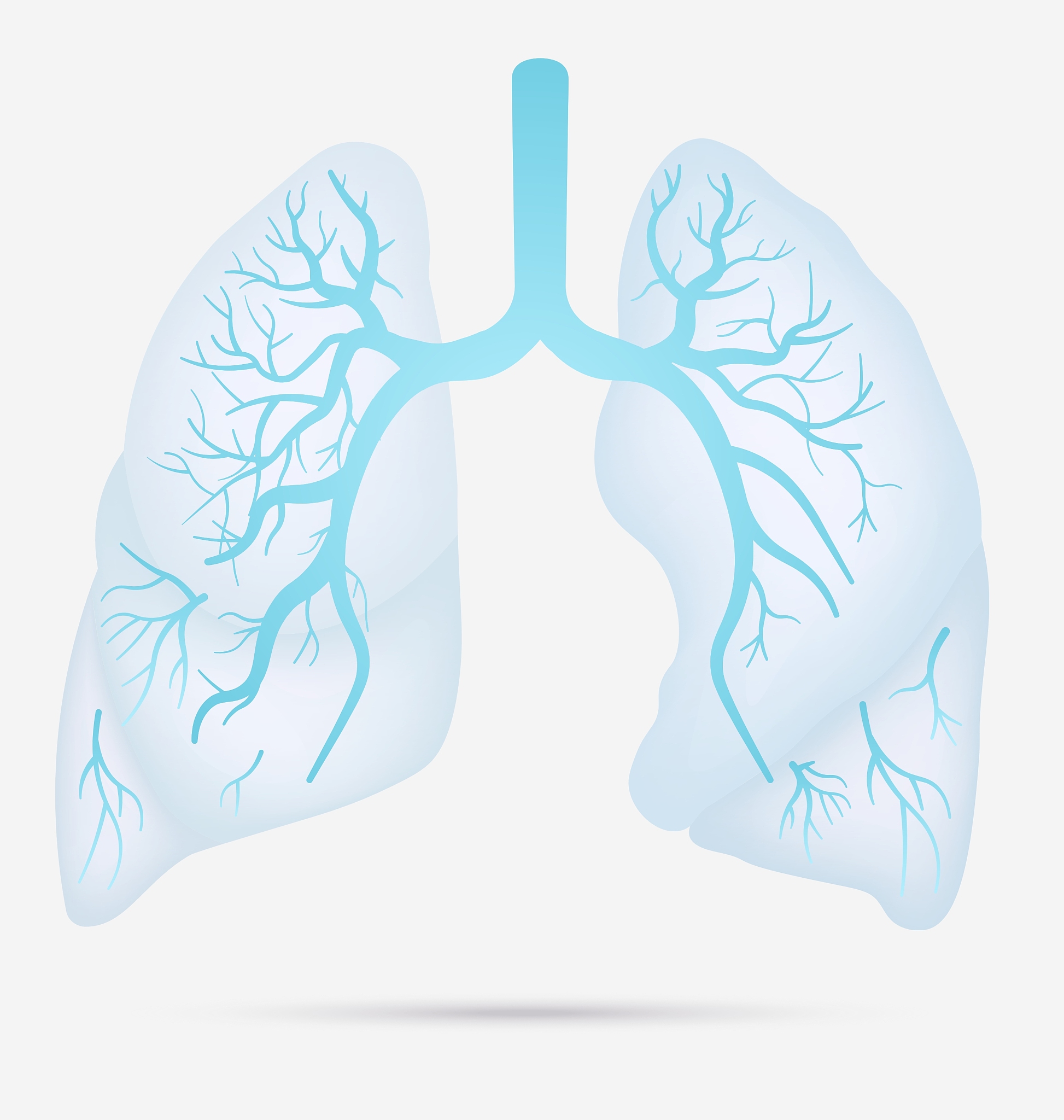 支气管哮喘发病机制：心理生理学因素影响