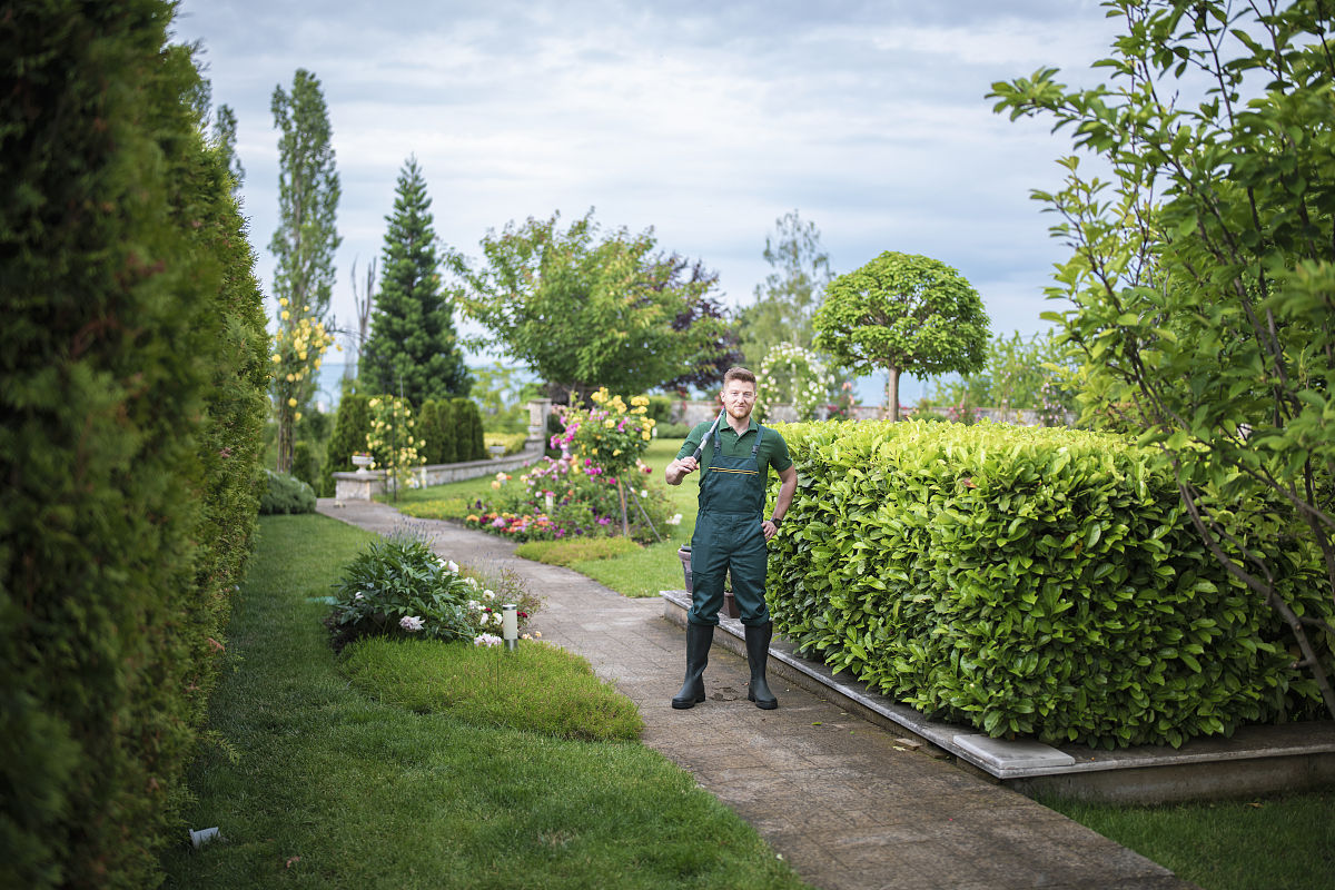 如何获取园林工程企划方案