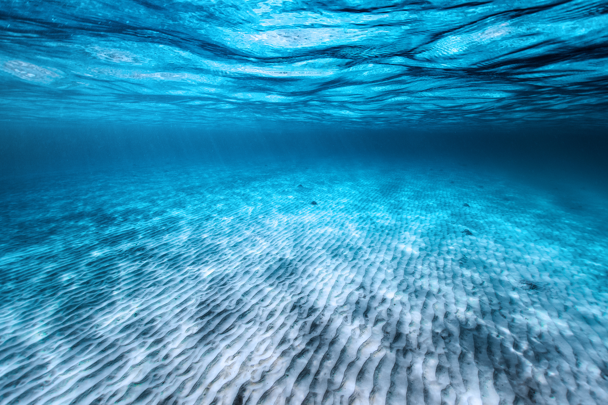 sea