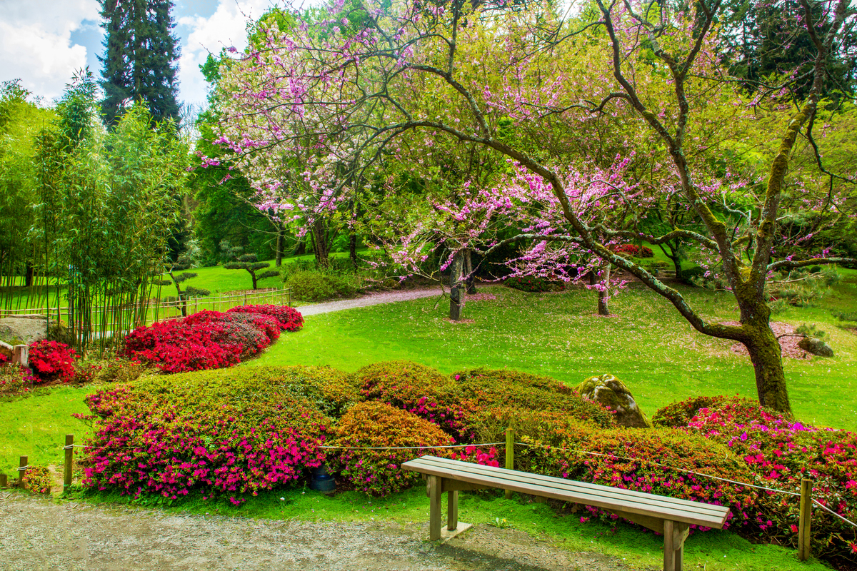 庭院绿茵一片背靠山
