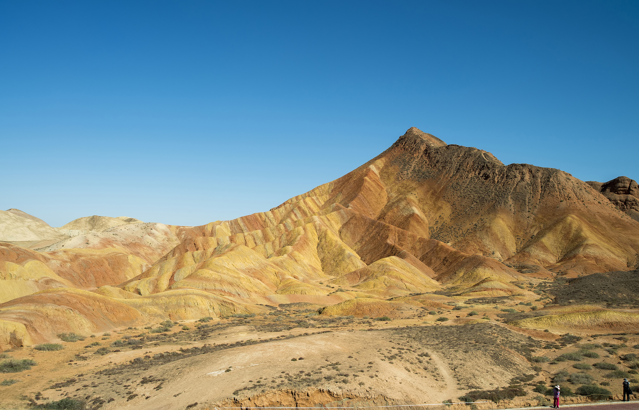 甘肃幼师学校在哪？2021年招生信息查询指南