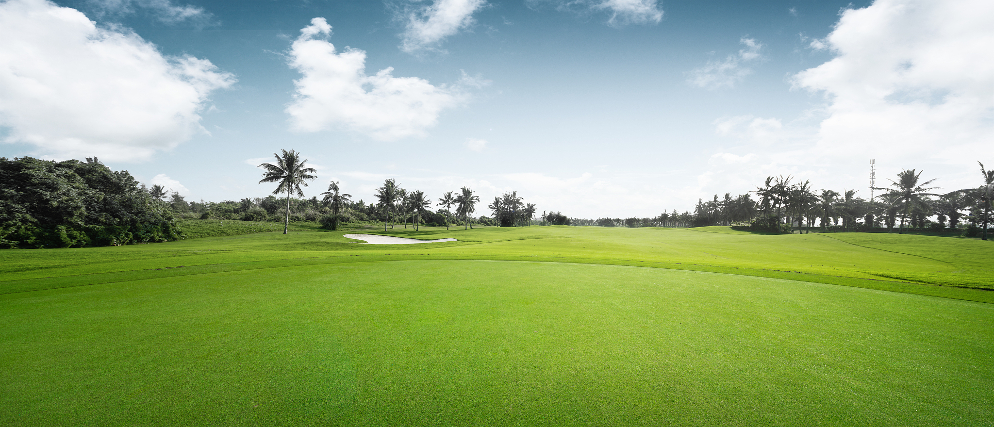 2023年报读高尔夫场地管理专业就业前景好不好？