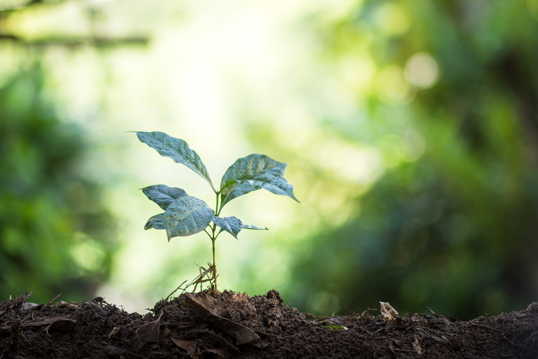 贵阳精工科技学校旅游服务与酒店管理专业好不好