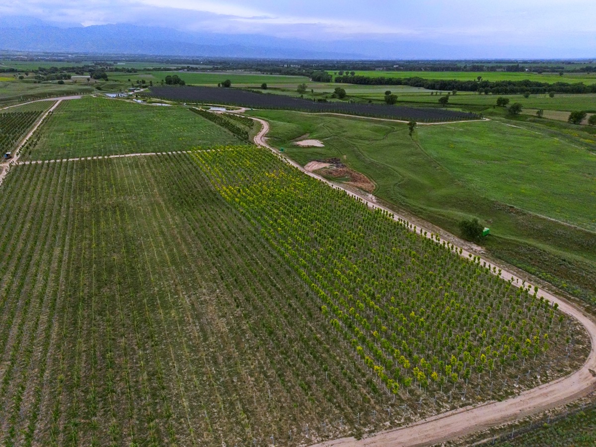 彰武治沙精神助力农村环境整治：经验与方法