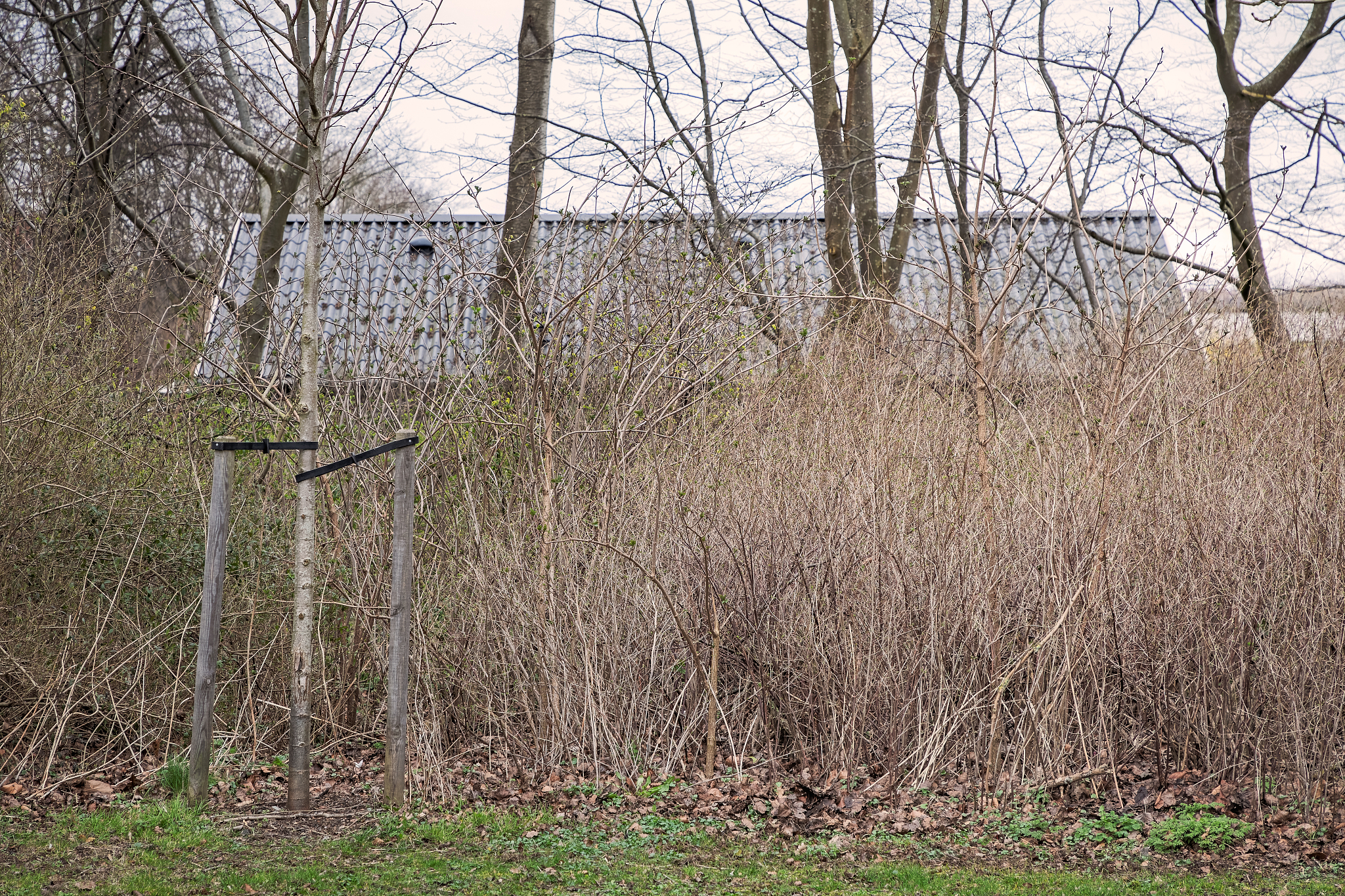 公园设计与建设的论文参考文献