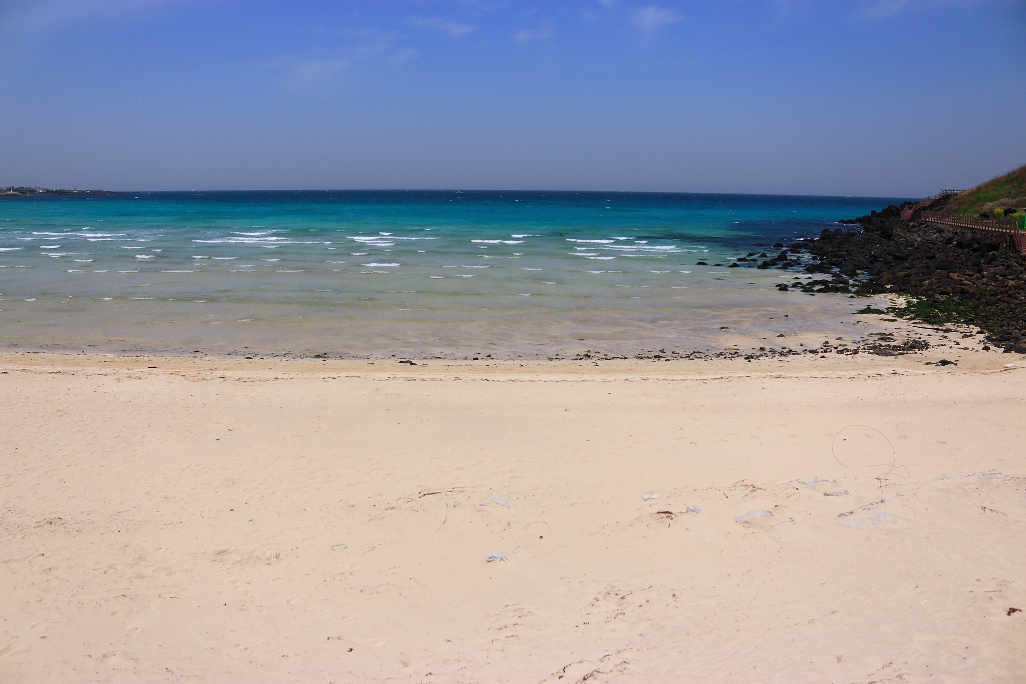 hamdeok beach, west wu bong, wildflower, flower, beach,
