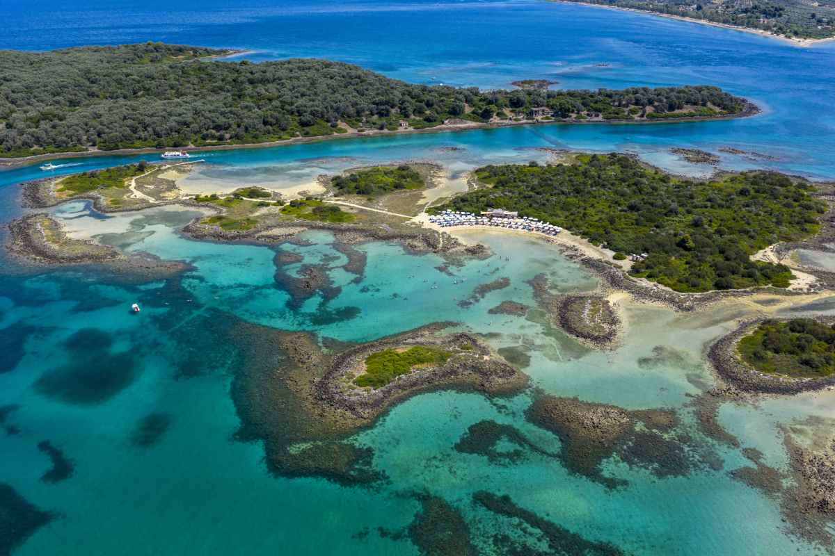 Apalachicola Bay: A Case Study of Climate and Anthropogenic Impacts on Nekton Communities