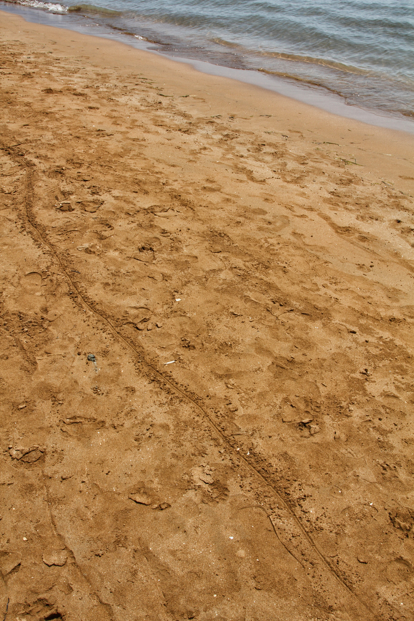 read beach