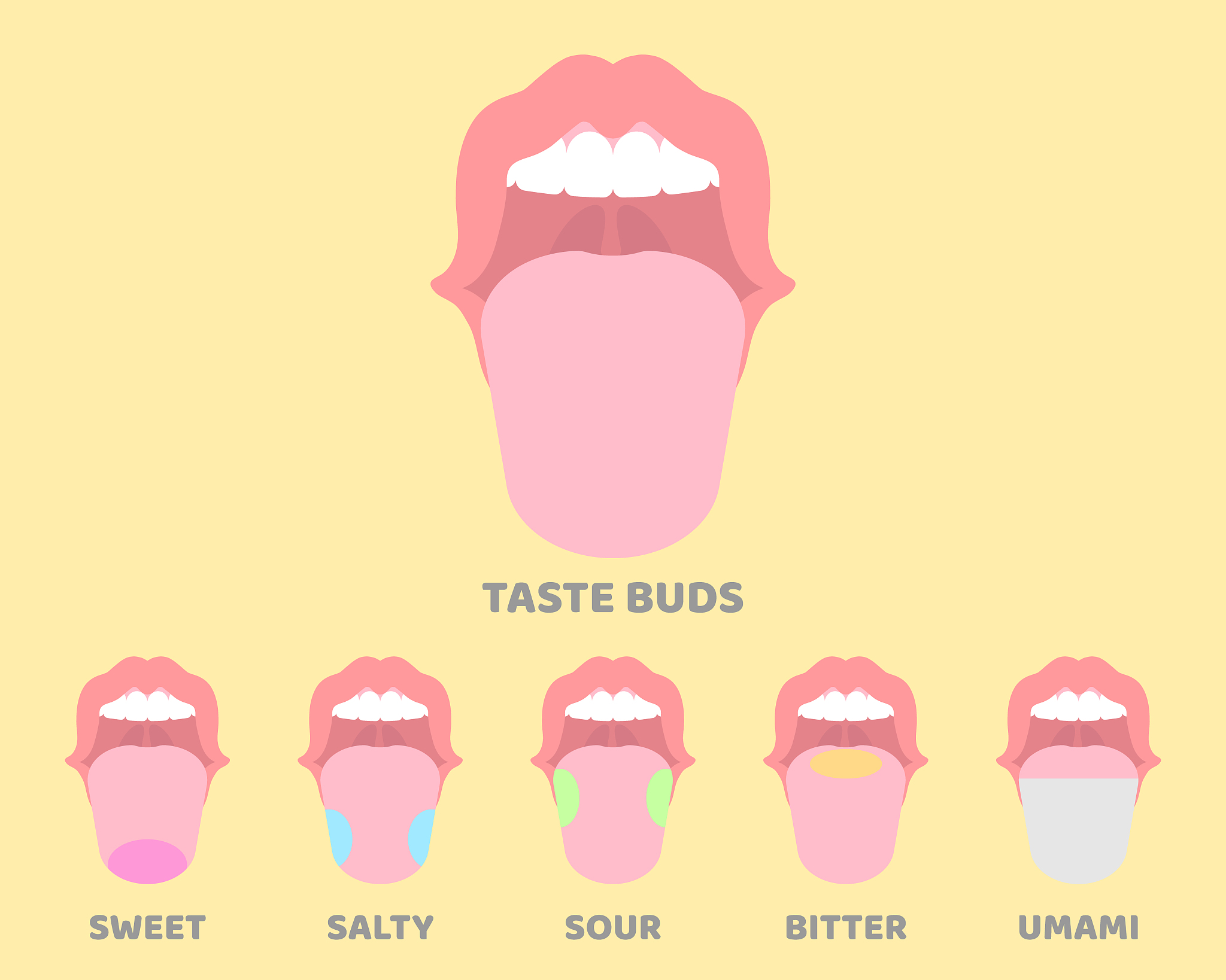 舌苔厚有齿痕。