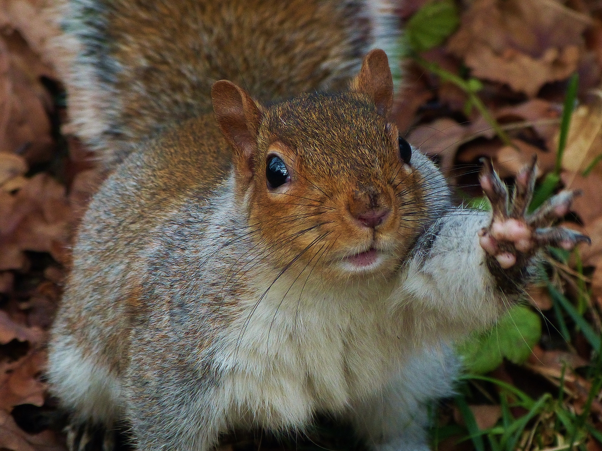 肇庆市三只松鼠仓库管理优化研究：提升效率、盈利和竞争力