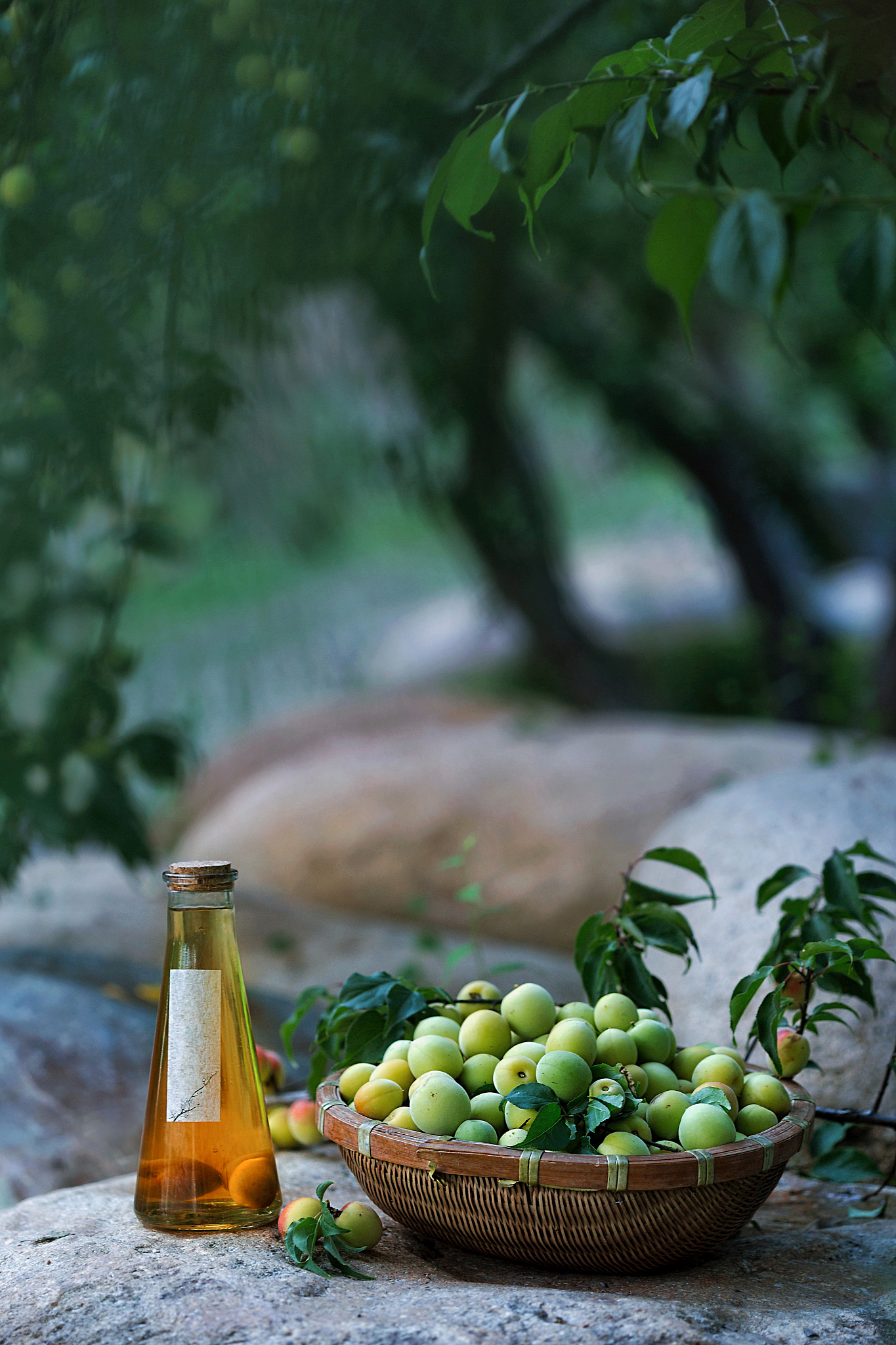 枇杷能做酒吗, 枇杷能做酒吗,