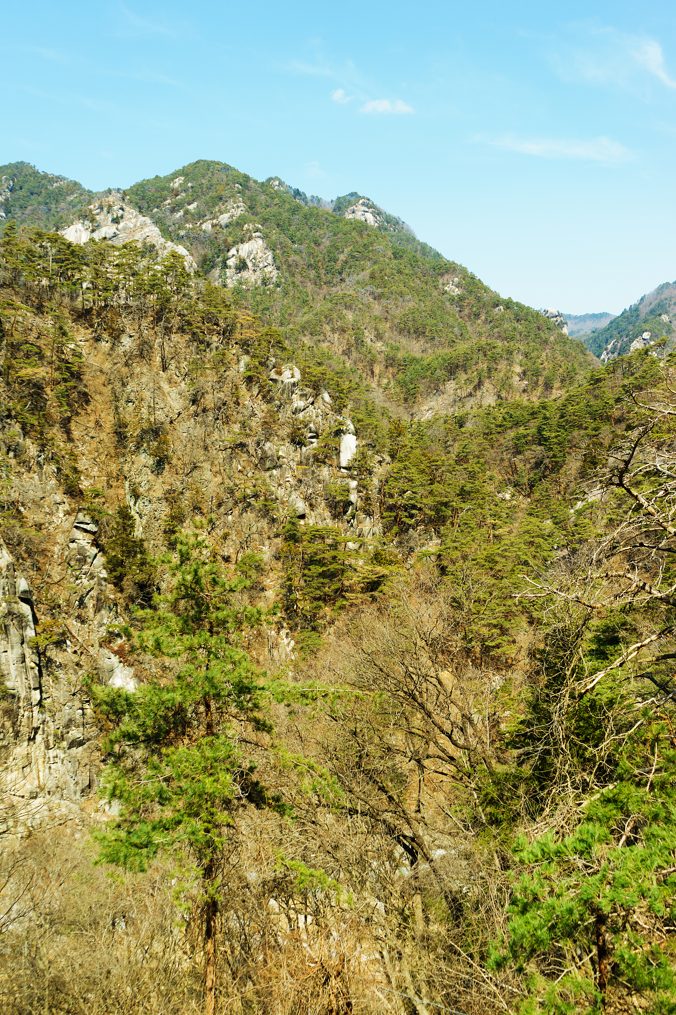 南京旅游职业学院五年制大专专业介绍：旅游管理、旅游英语等