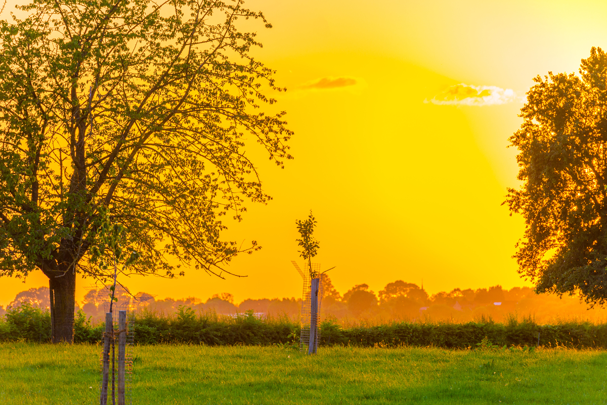 The wind whispers secrets to the treesAs they sway in the gentle breezeThe sun sets in a fiery huePainting the sky with a golden view翻译