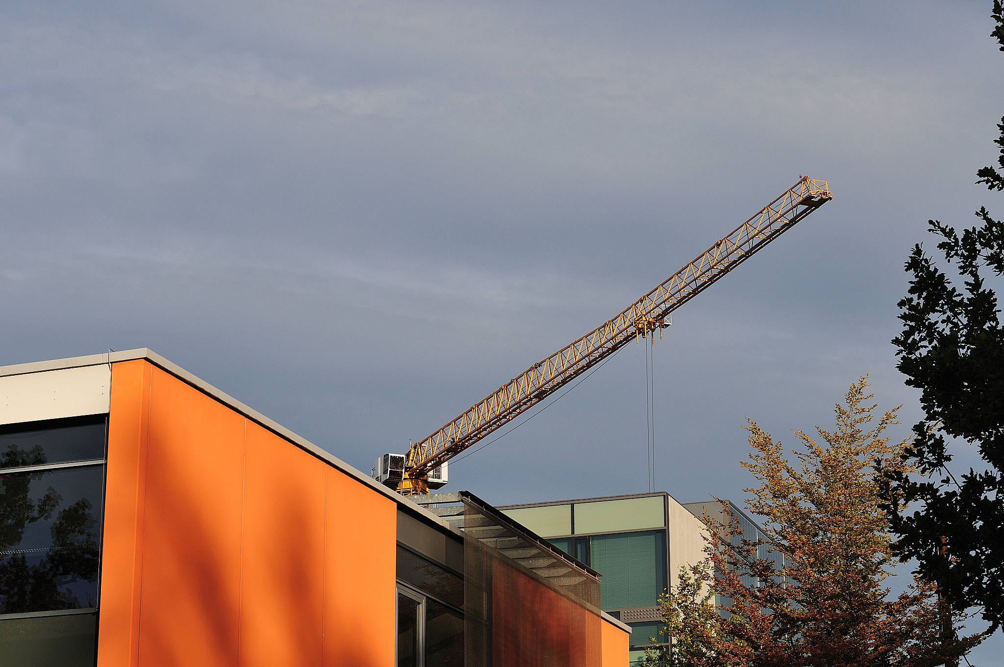 A建筑公司设备租赁成本管理措施：降低成本，提高效率