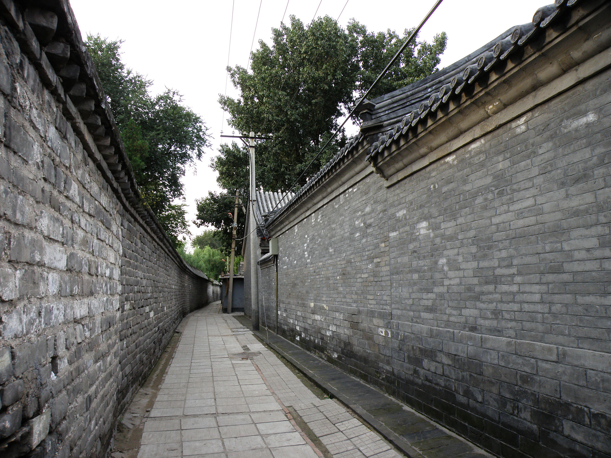 北京胡同里的诗意：李清照式的漫步