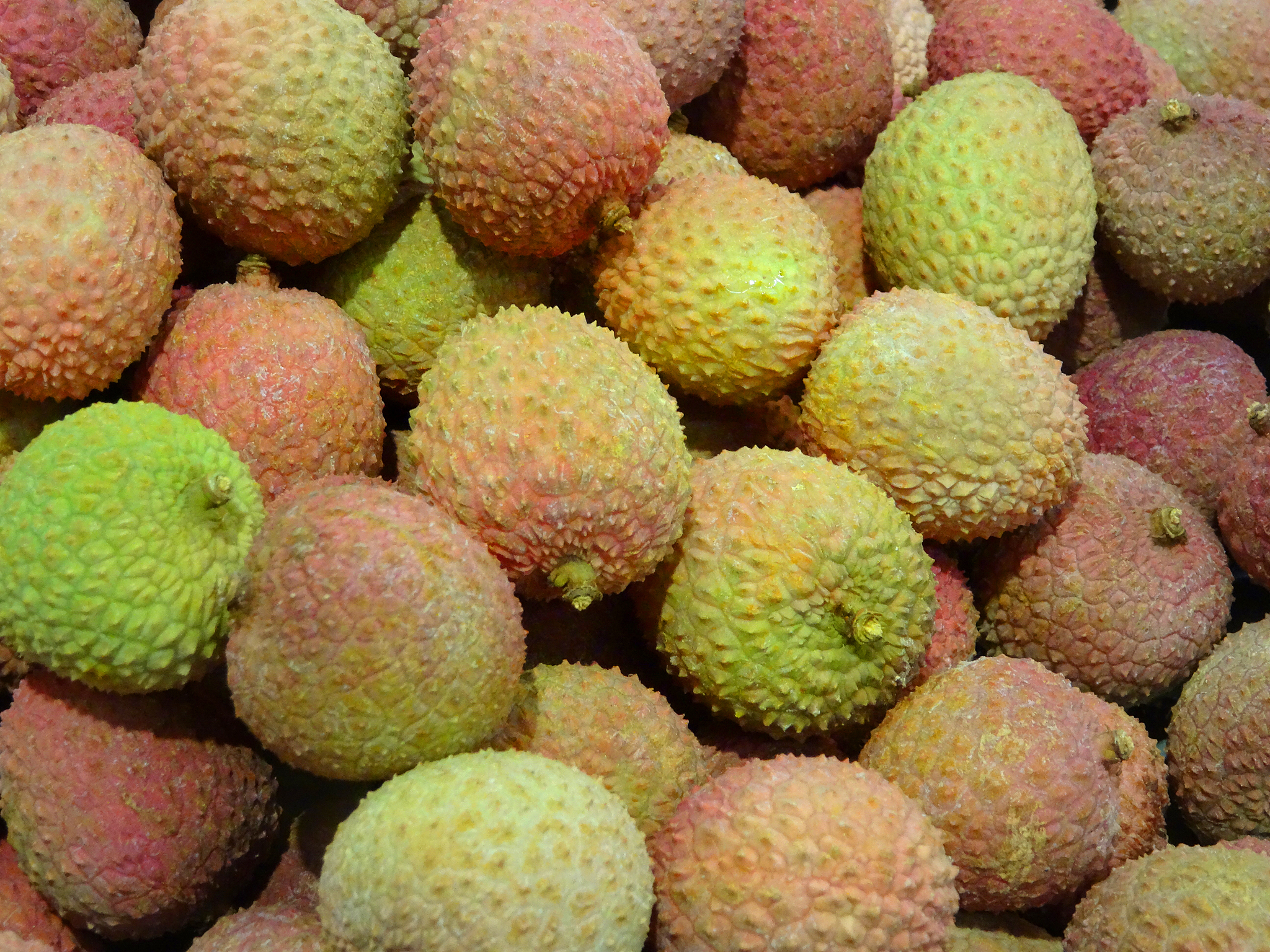 荔枝收购企业的项目概述