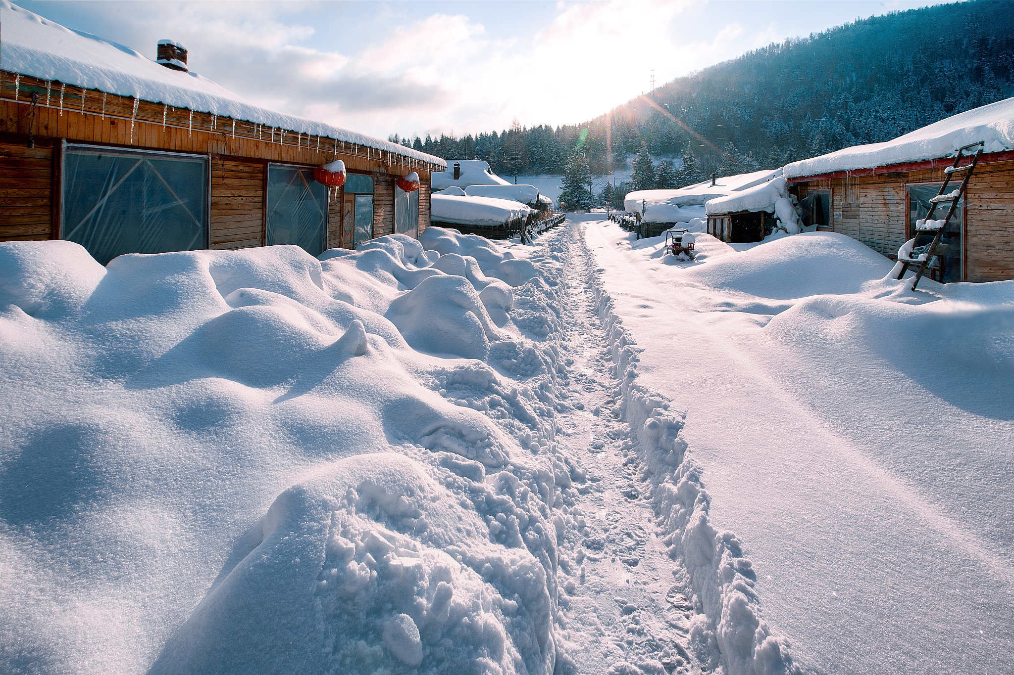 黑龙江职业学院商务英语专业涉及哪些课程