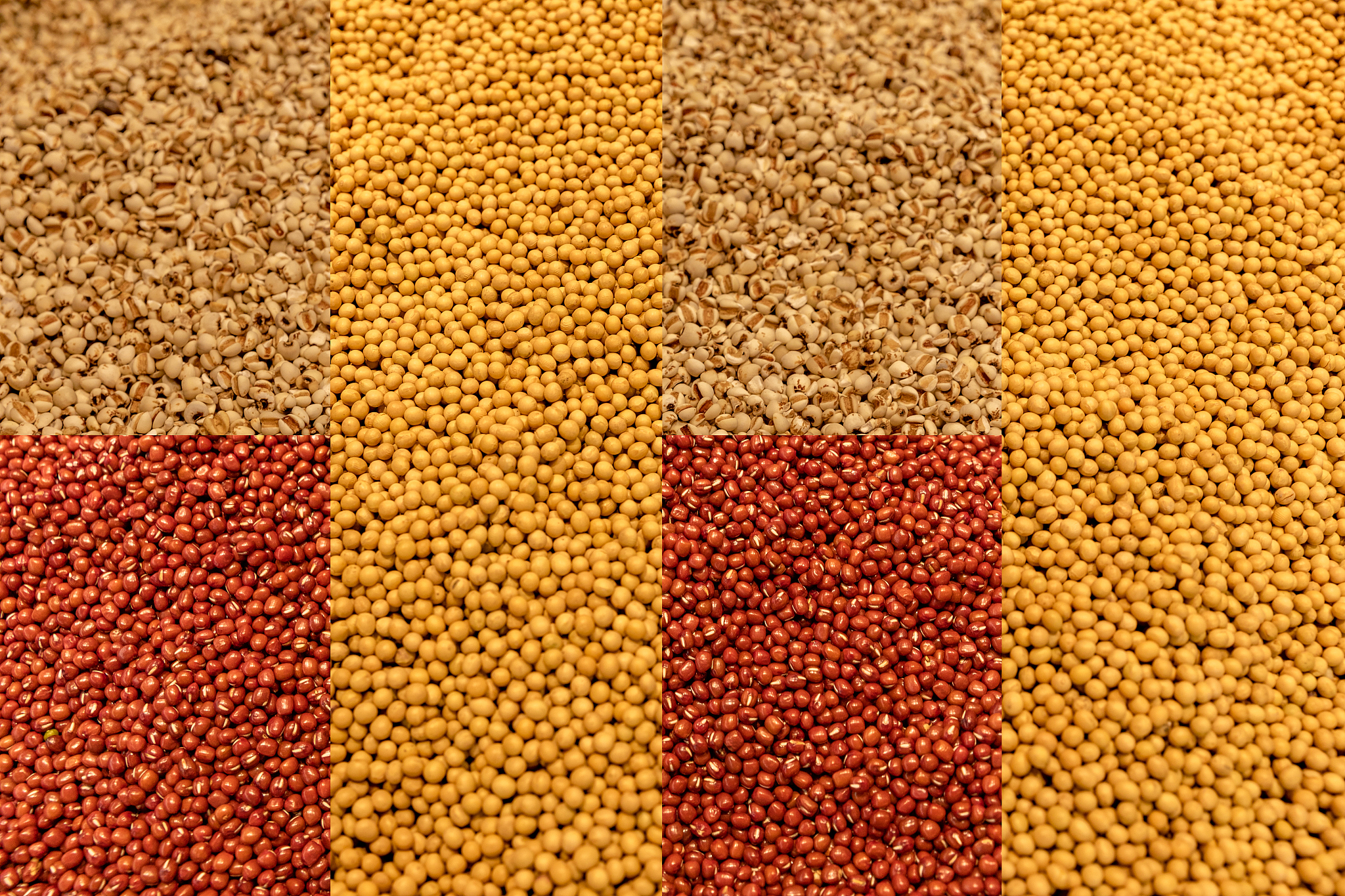 foodstuff red bean, soybean, mung bean