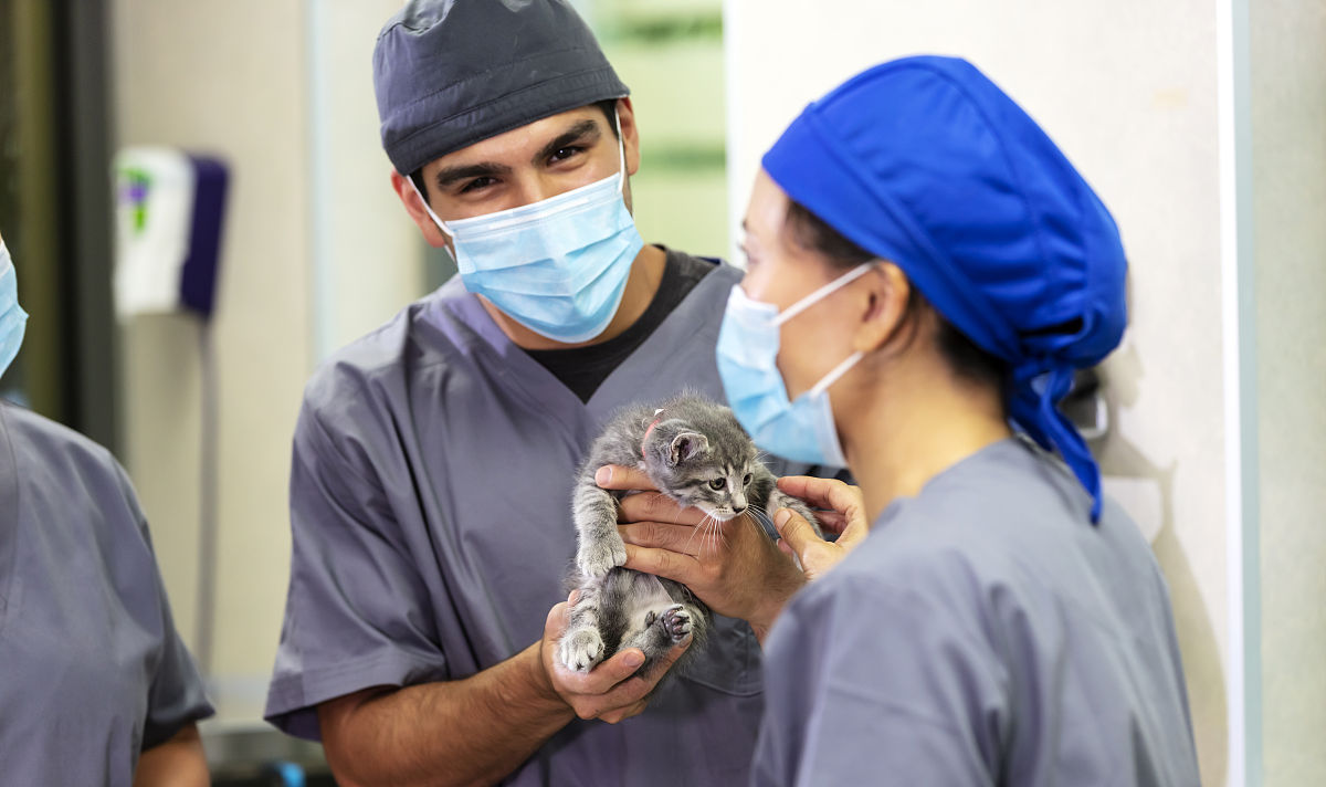 武汉市农业学校畜牧兽医专业怎么样？