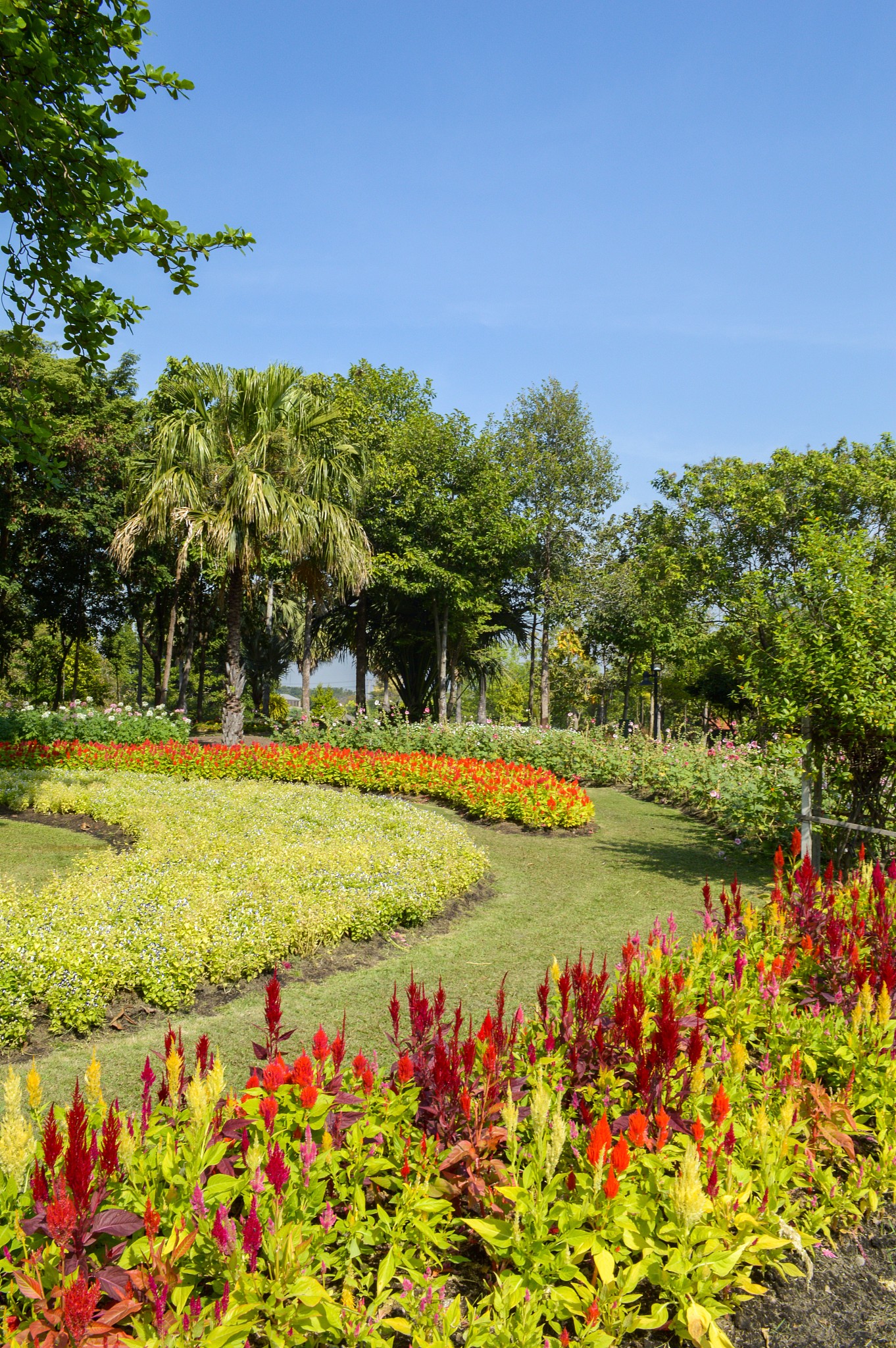 兰州植物园：历史背景、珍稀植物与科研成果