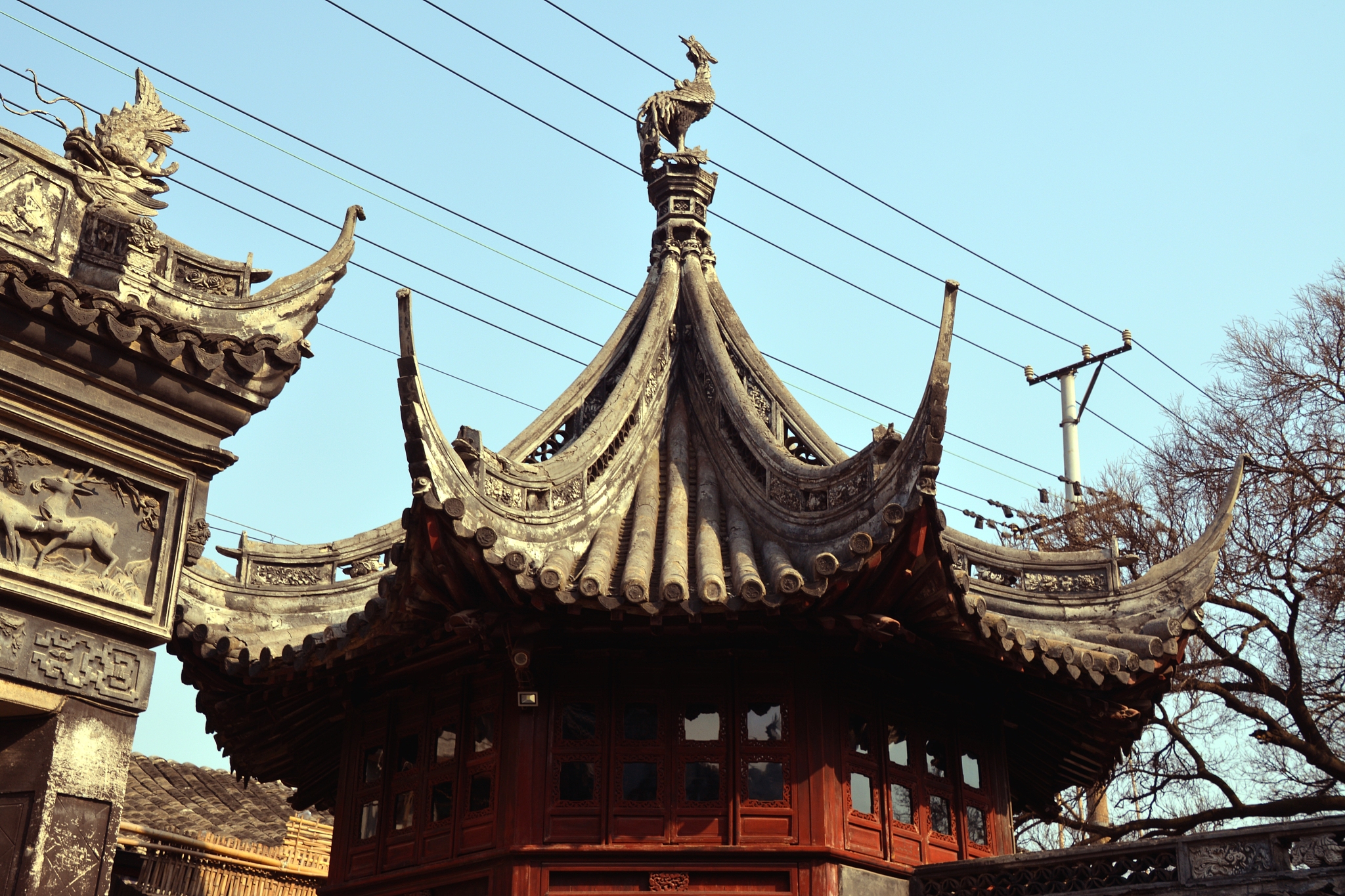 天津滨海职业学院旅游管理专业怎么样