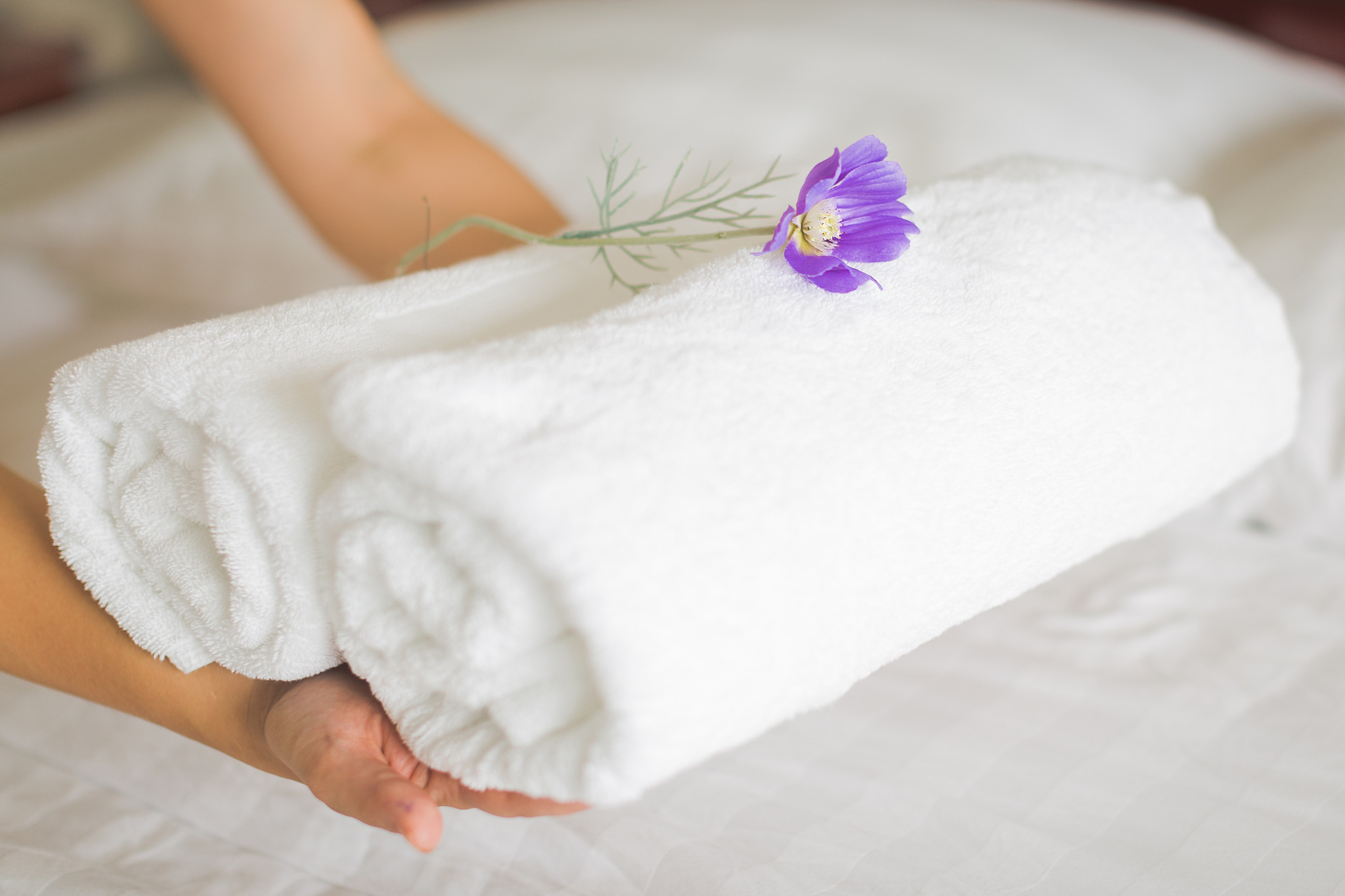 hotel room service cleaning, maid placing fresh white towels on 