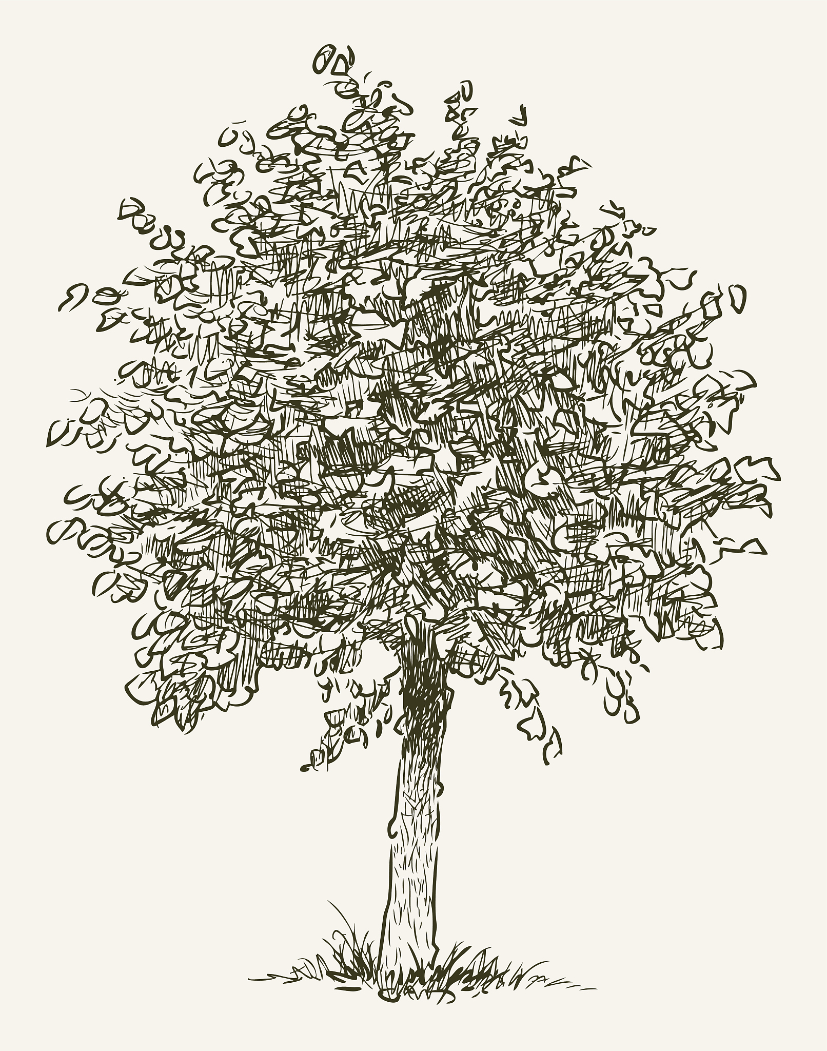 探索树木奥秘: TREES-STRUCTURE AND FUNCTION 期刊指南