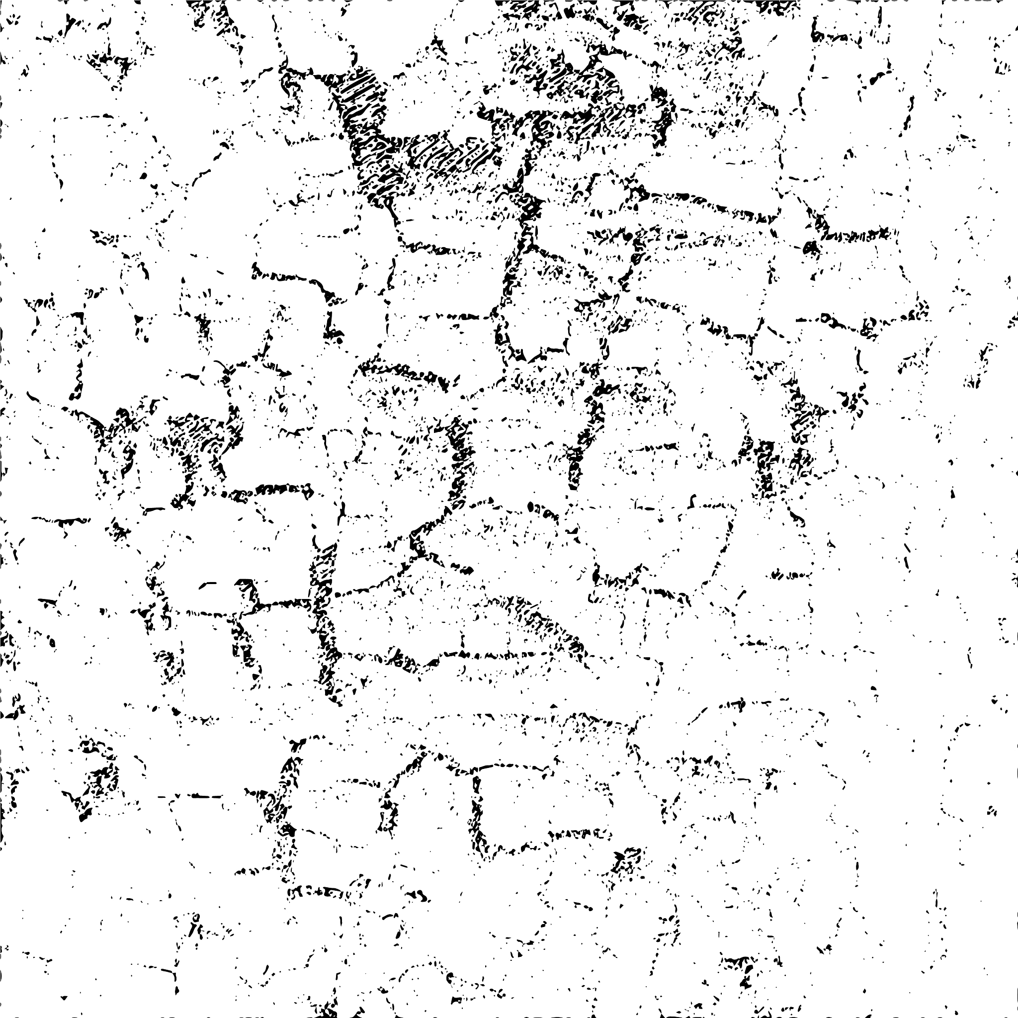 tree texture tree background tree effect