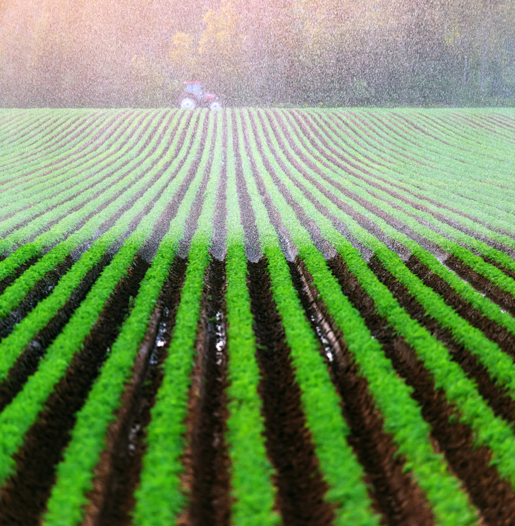 粮食需求暴增，氮肥使用量激增五倍！