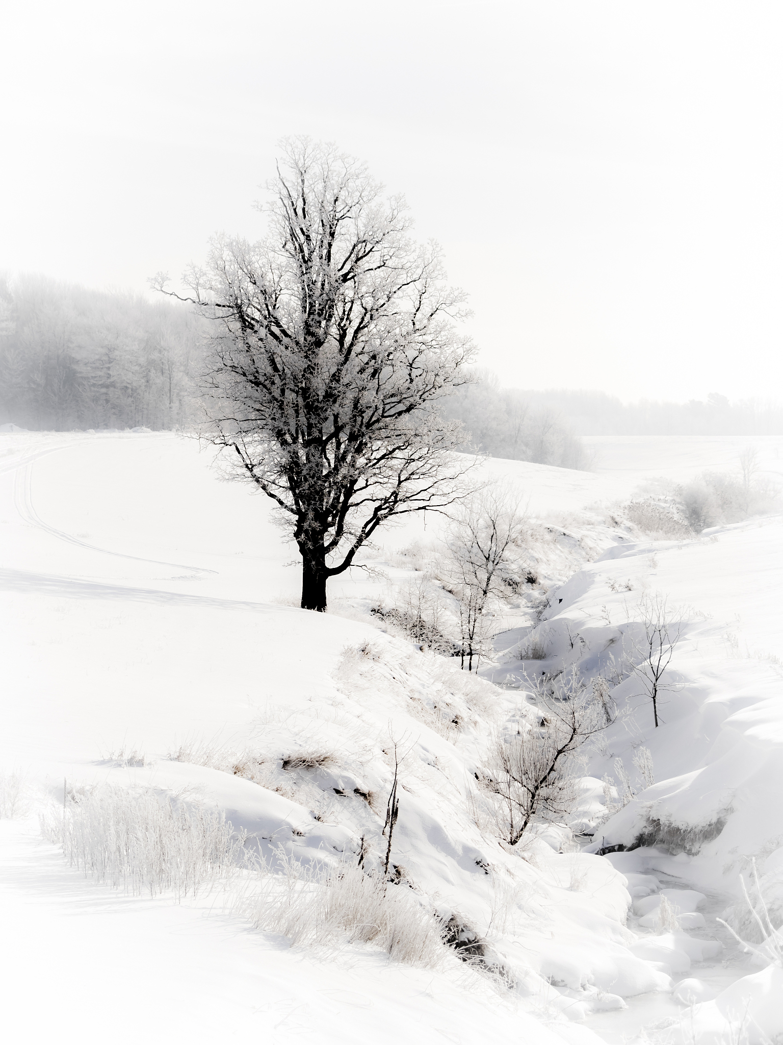 描写北凉的古诗