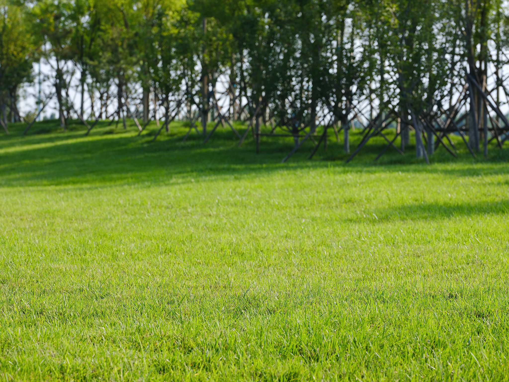 北京林业大学草业科学专业怎么样