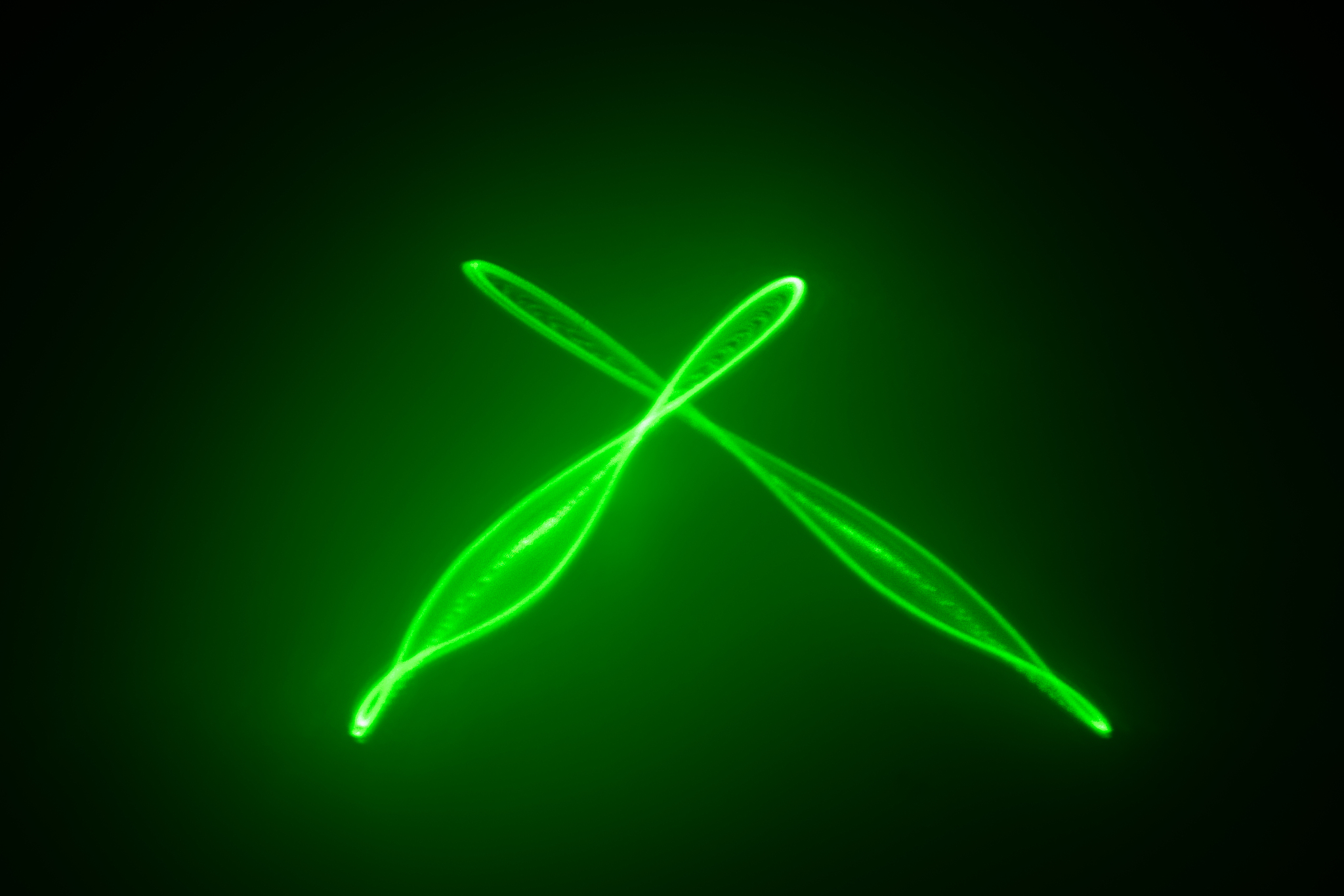laser light pattern on background