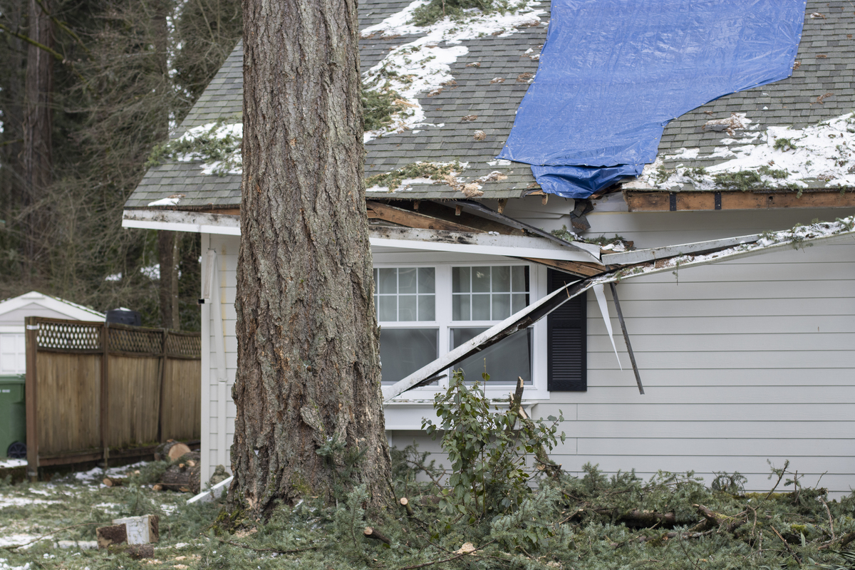根据下面内容洗稿重新写一篇全新文章4月3日安徽女子一觉醒来房顶没了。当事人宋女士表示自己当时在睡觉就听见哗啦一声睁眼看见房顶被风吹没了。正在下雨突然天就亮了。然后我赶紧起床把衣服收拾去别的院子了。宋女士还称当天是9级风自己家的房顶是铁皮比较轻。预计损失五千左右我家还有别的院子这种房子以后再也不住了。