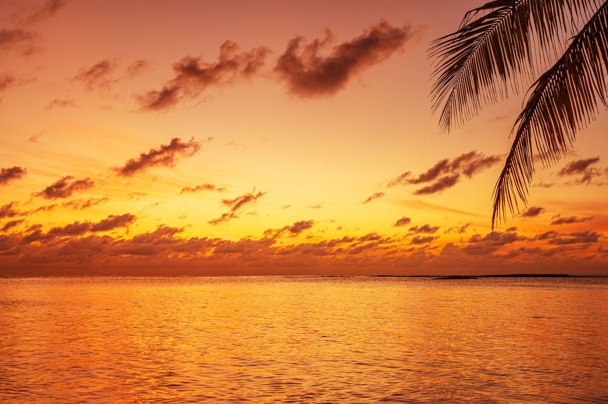 Continue writing please