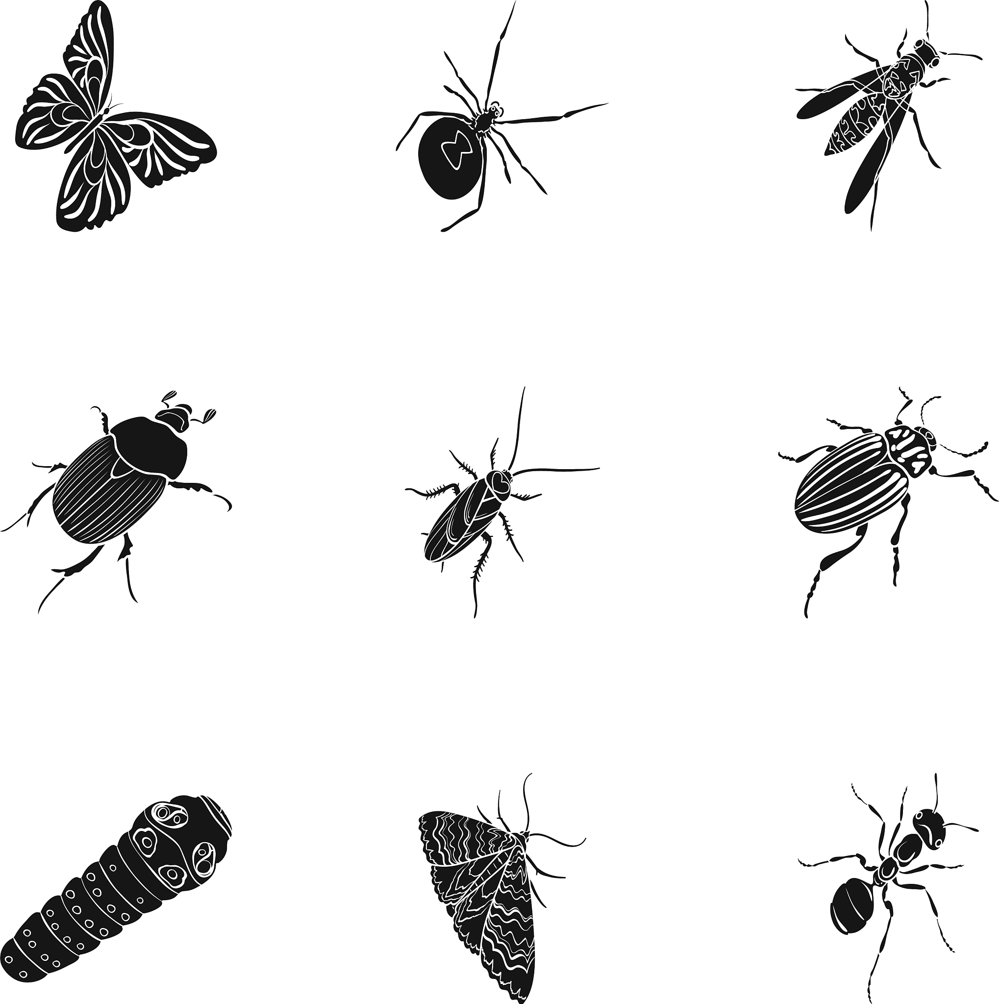 INSECT MOLECULAR BIOLOGY 期刊 - 昆虫分子生物学研究的权威平台