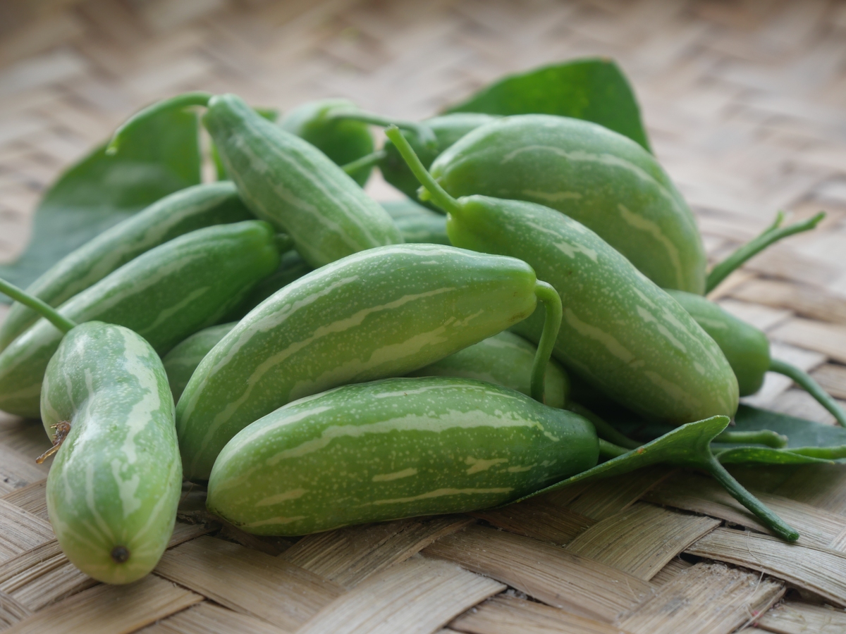 八月瓜药用功效及籽食用方法：降血糖、清热解毒