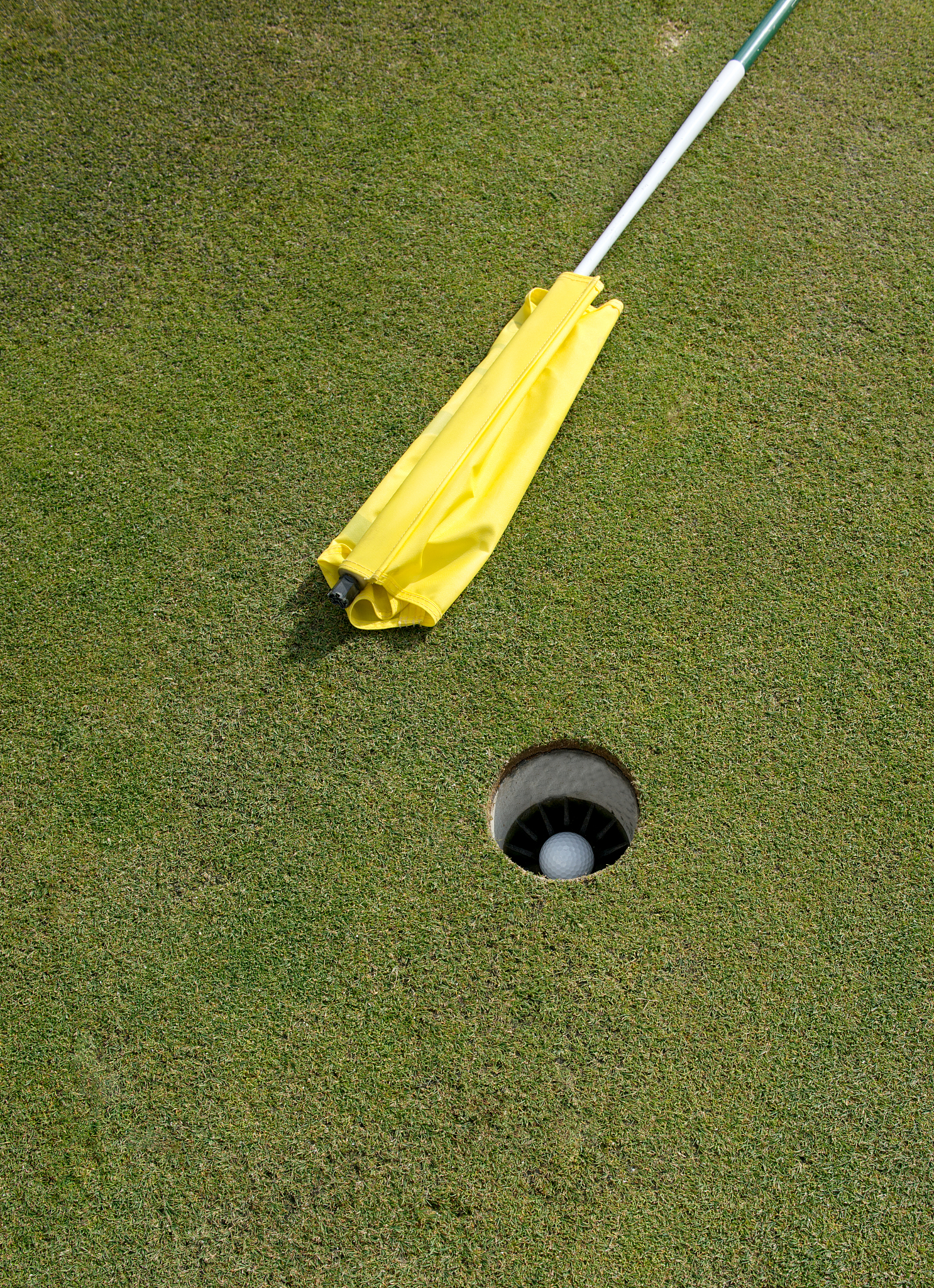 高尔夫球能塞进去吗