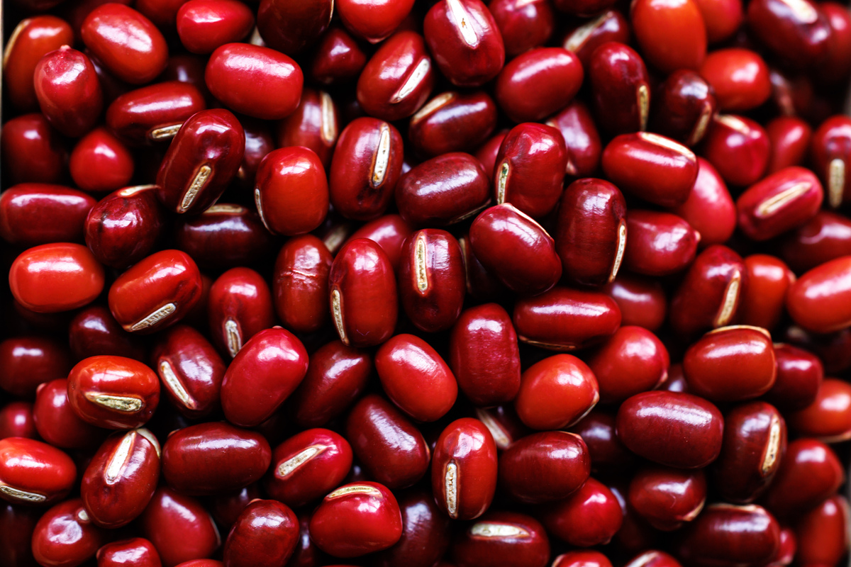 红豆绿豆黄豆五福子七天可以放在哪里