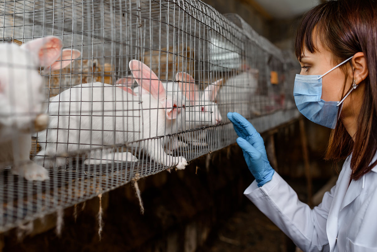美女养殖团队：用爱心和汗水打造肉兔养殖的美丽风景线