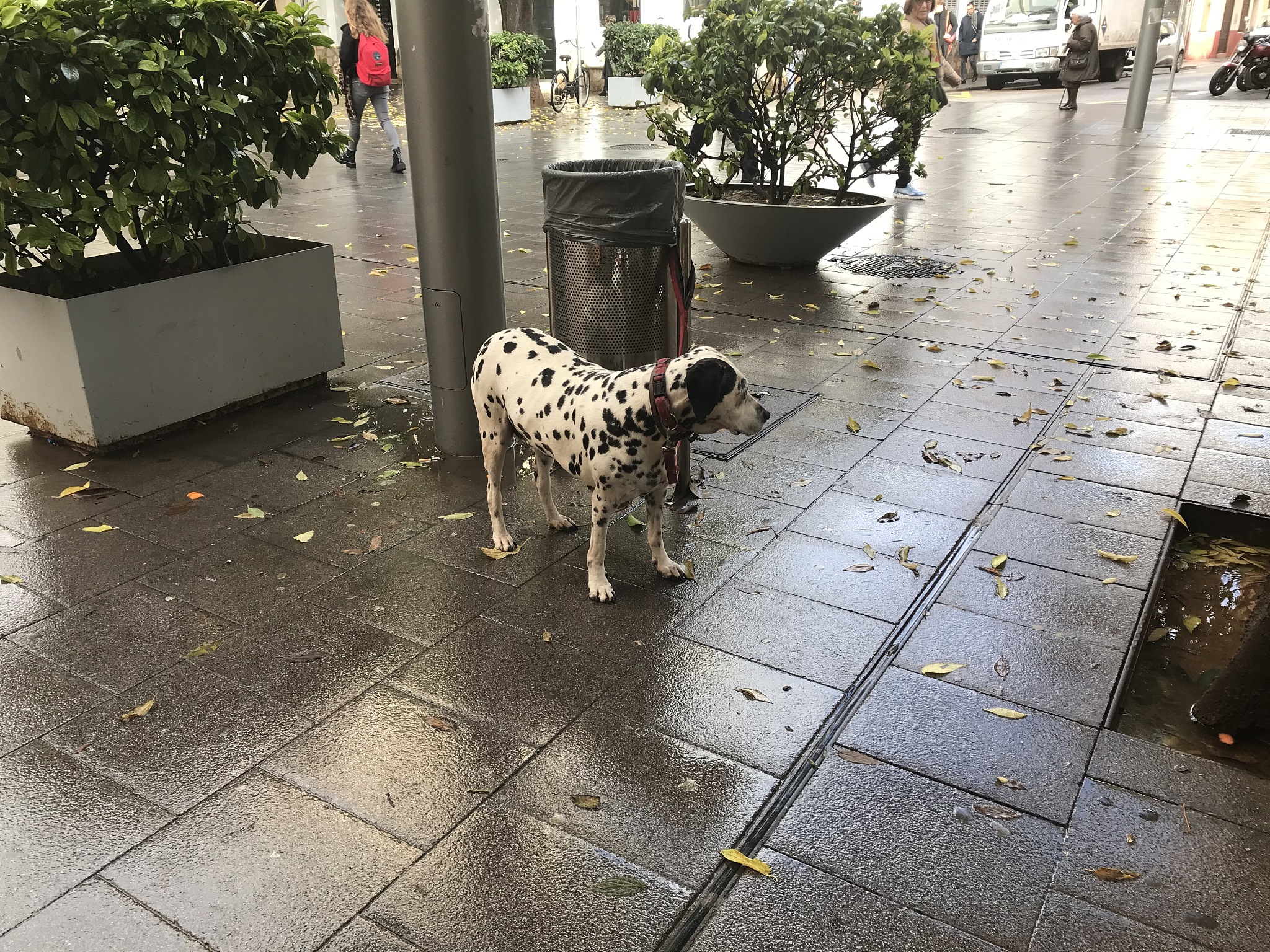 北京城市学院城市管理专业怎么样