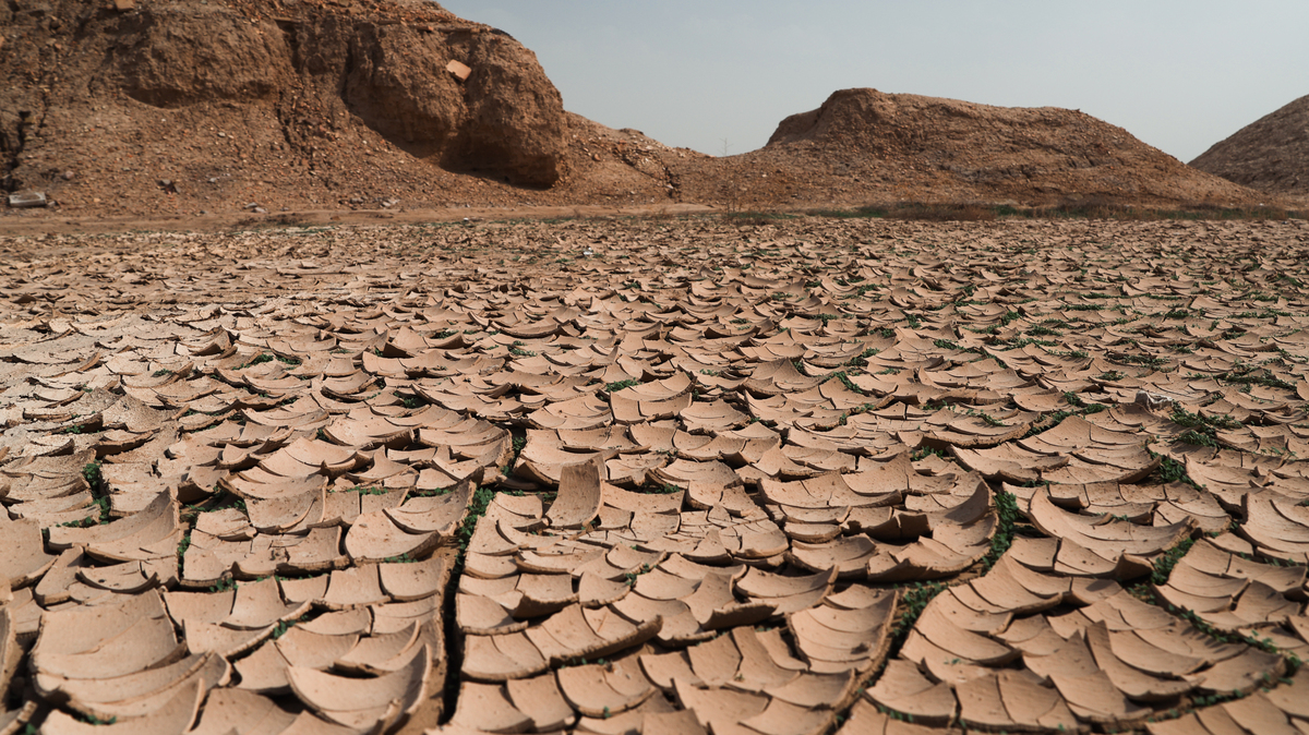 全球干旱地区分布：欧亚、非洲和美洲西部