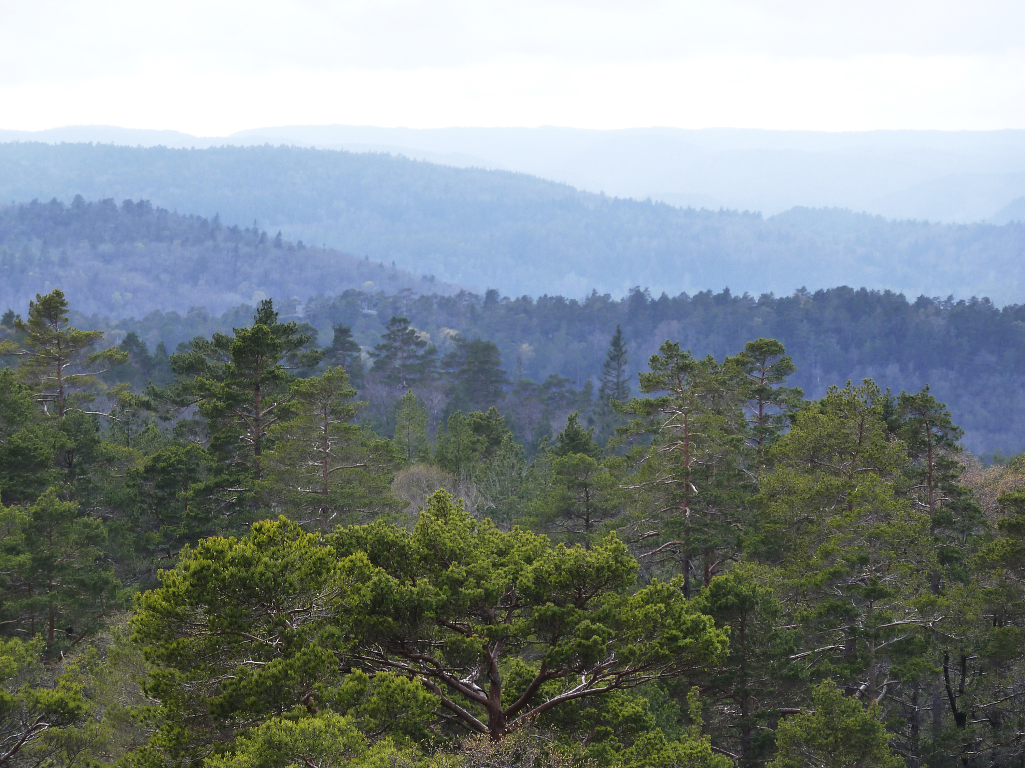 四川省旅游学校风景园林设计专业招生