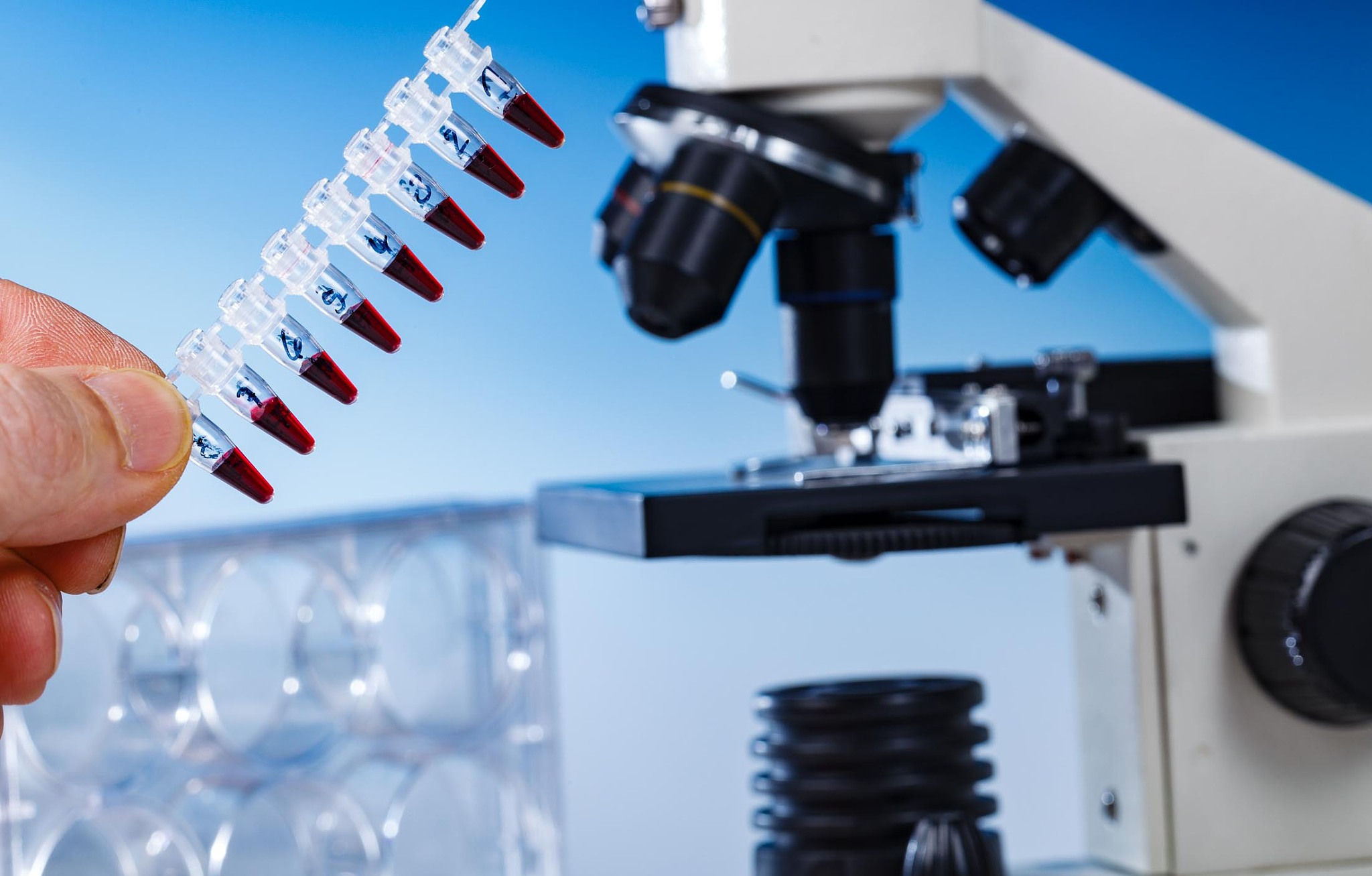 透射电子显微镜的未来展望