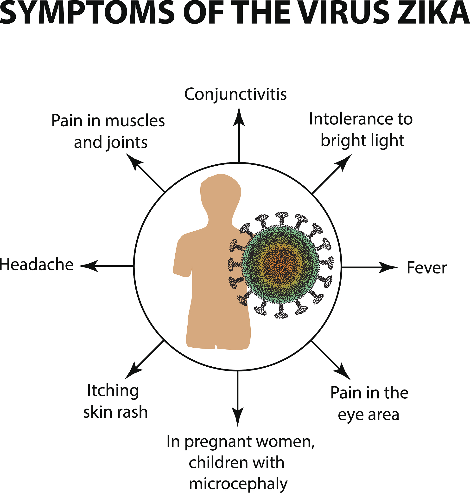 将以下内容翻译为英文要求学术化。利用基因编辑技术在非洲爪蟾中建立的罕见疾病模