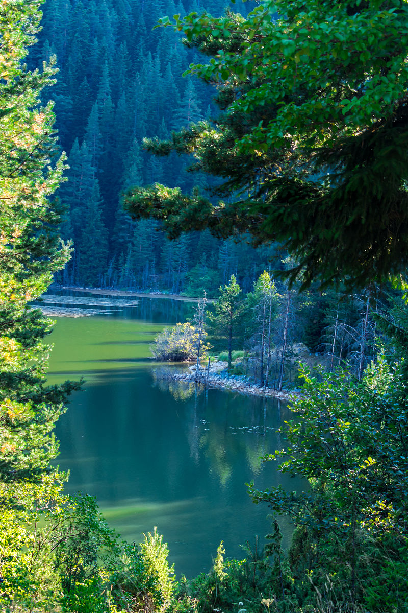 写一篇世界最美是什么的文言文