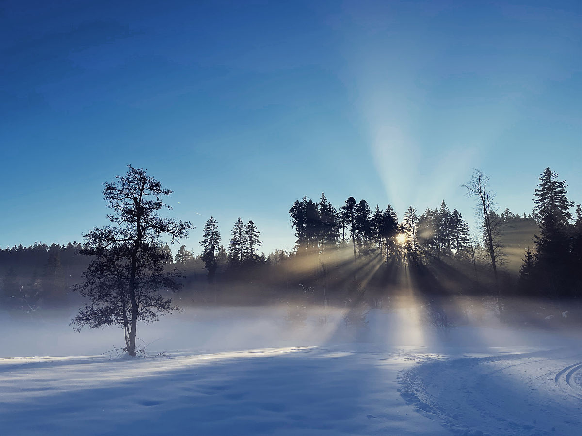请帮我写1篇不少于800汉字的博客文章语言要幽默接地气。主题是：隆冬是什么意思