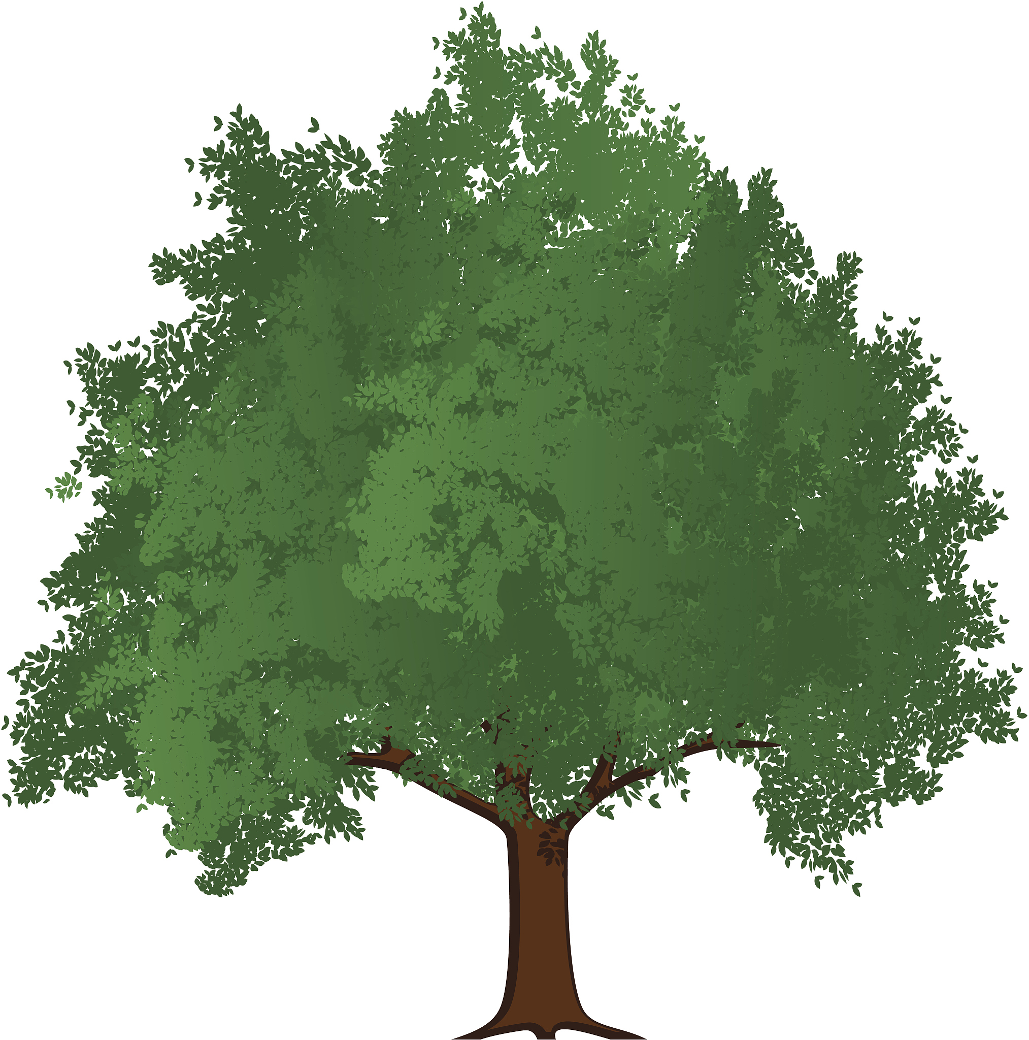 In the Tree vs. On the Tree: What's the Difference?