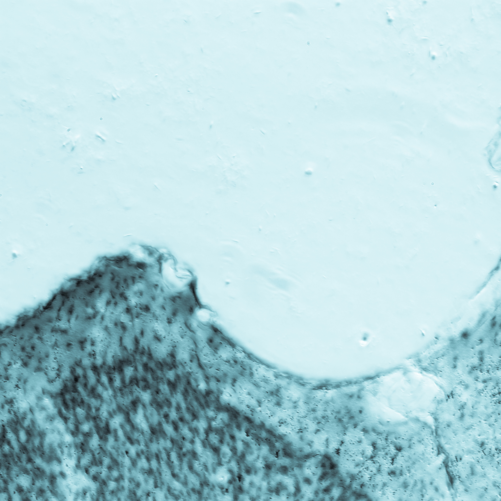 动物意识测量综述文献推荐